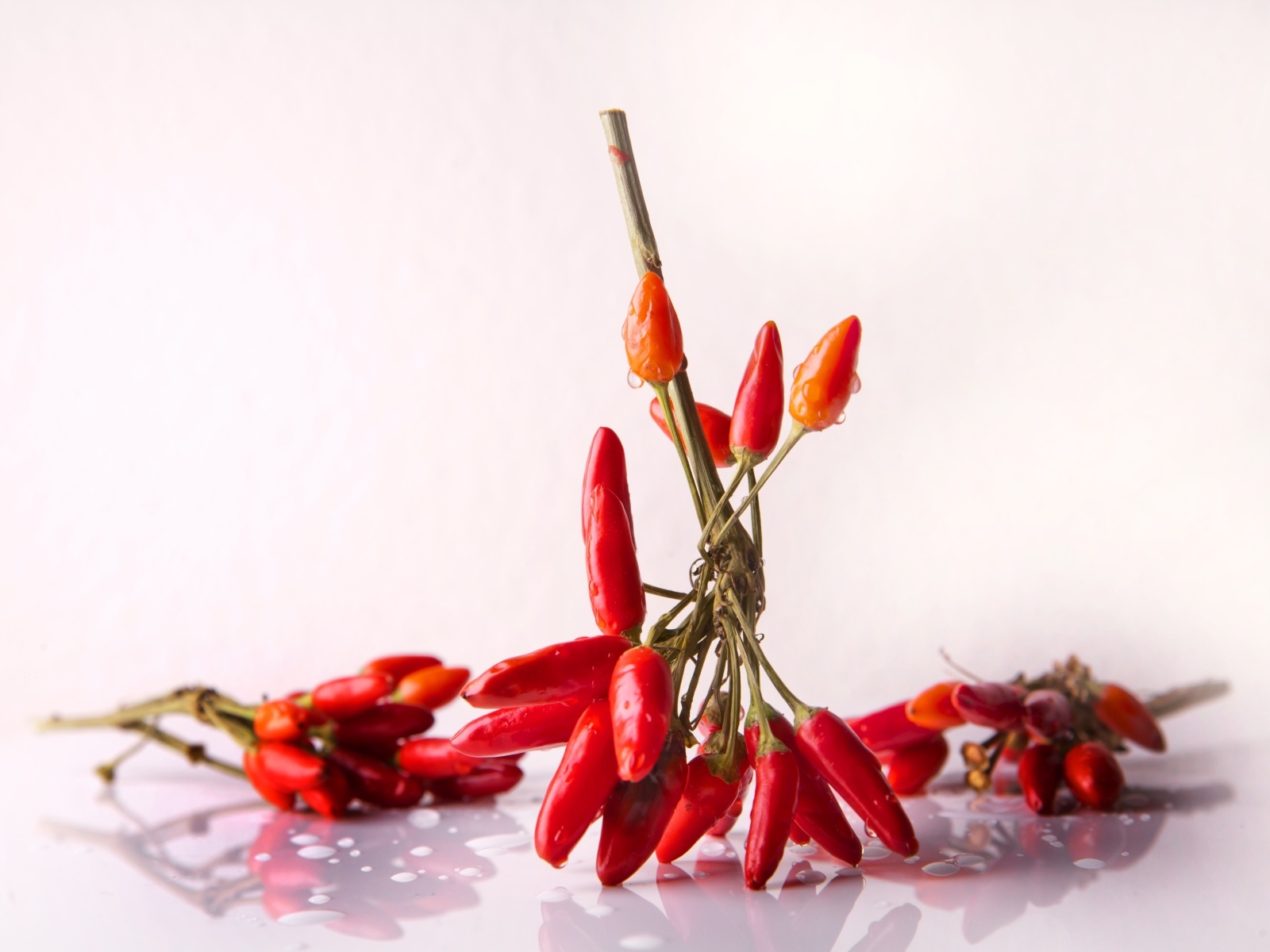 Красный острый перец на белом фоне