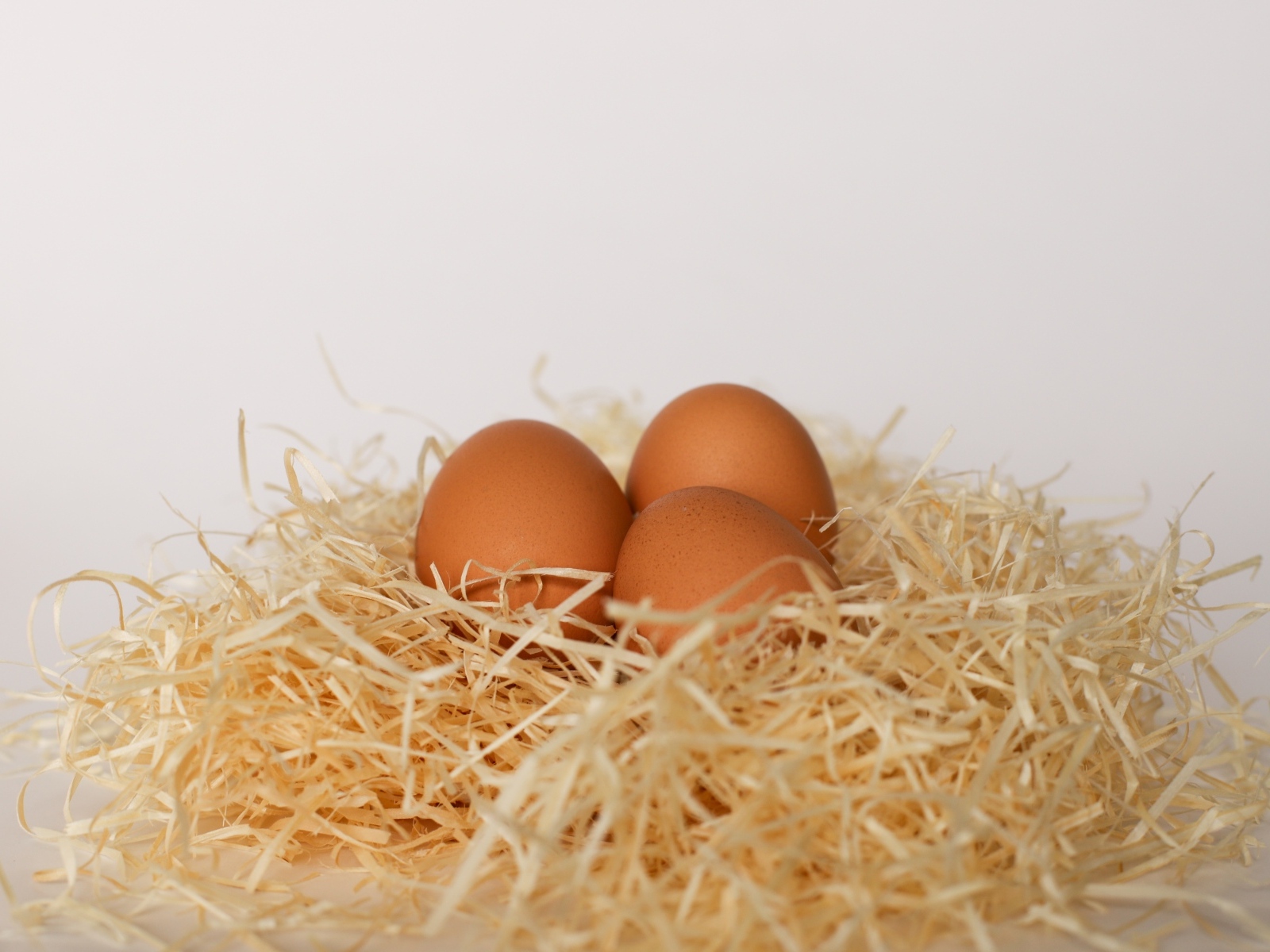 Три куриных яйца лежат в гнезде