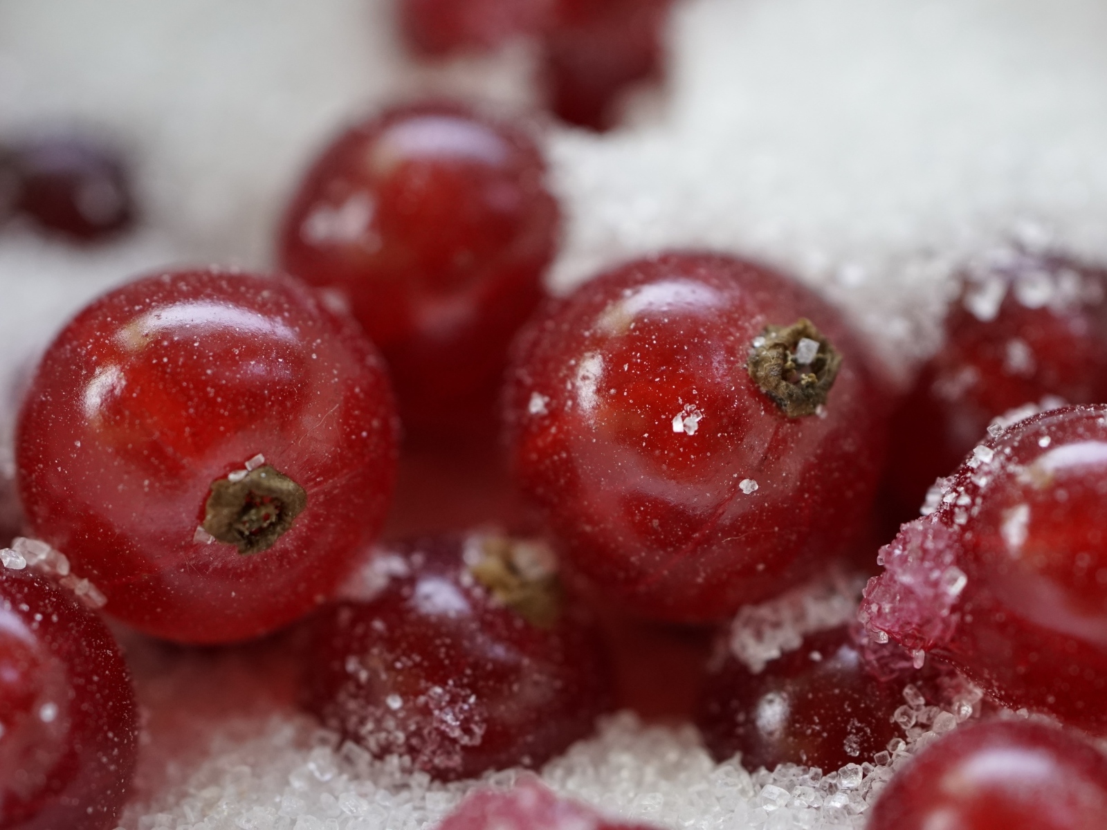 Красная смородина с сахаром крупным планом