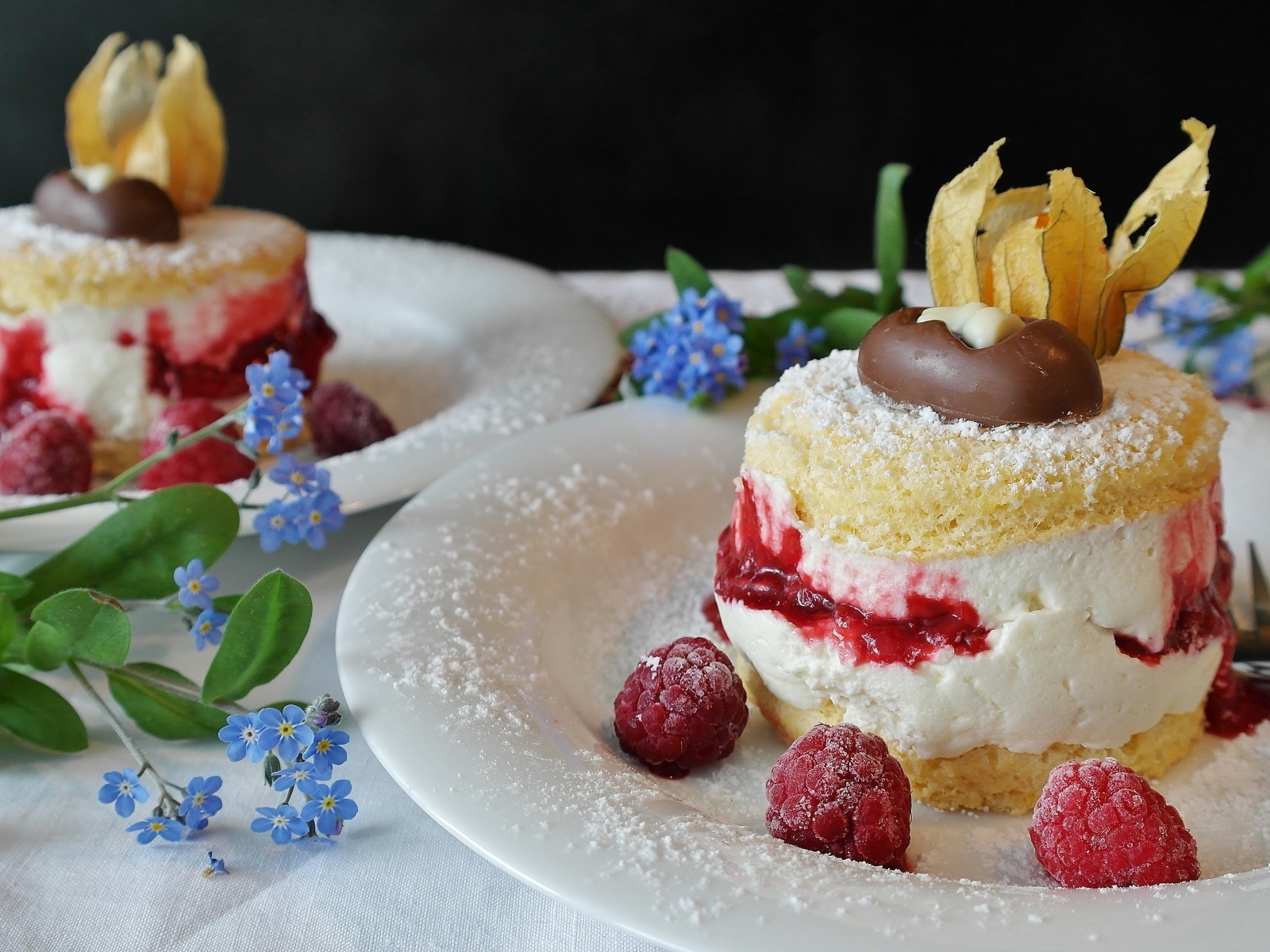 Пирожное Буше с ягодами малины на тарелке