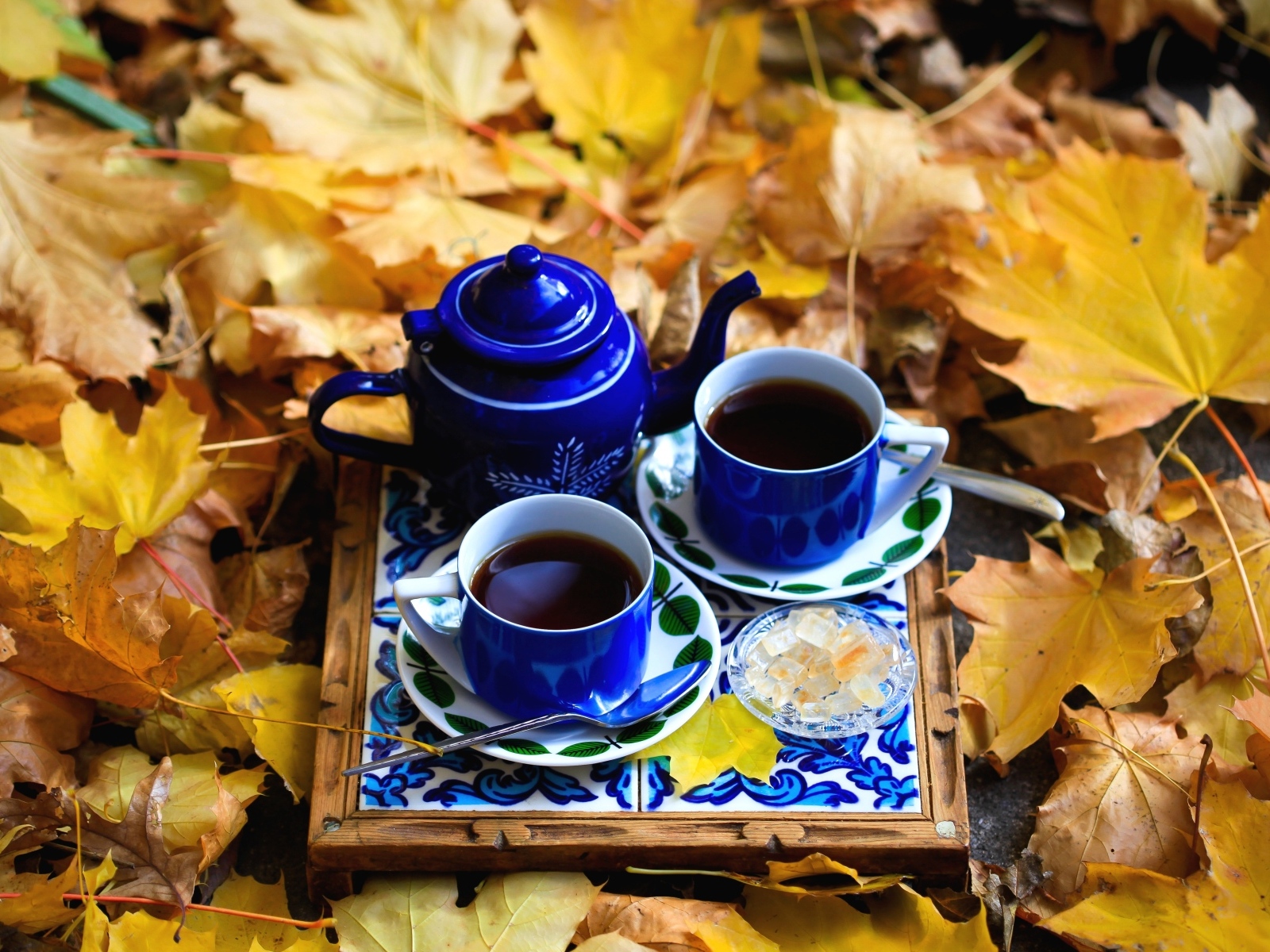 Две чашки кофе с чайником стоят на опавшей листве