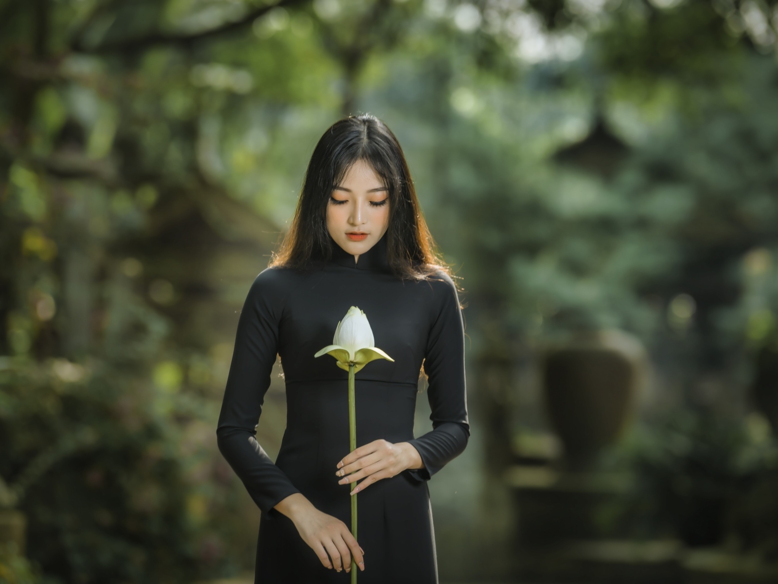 Красивая девушка азиатка в черном платье с цветком лотоса