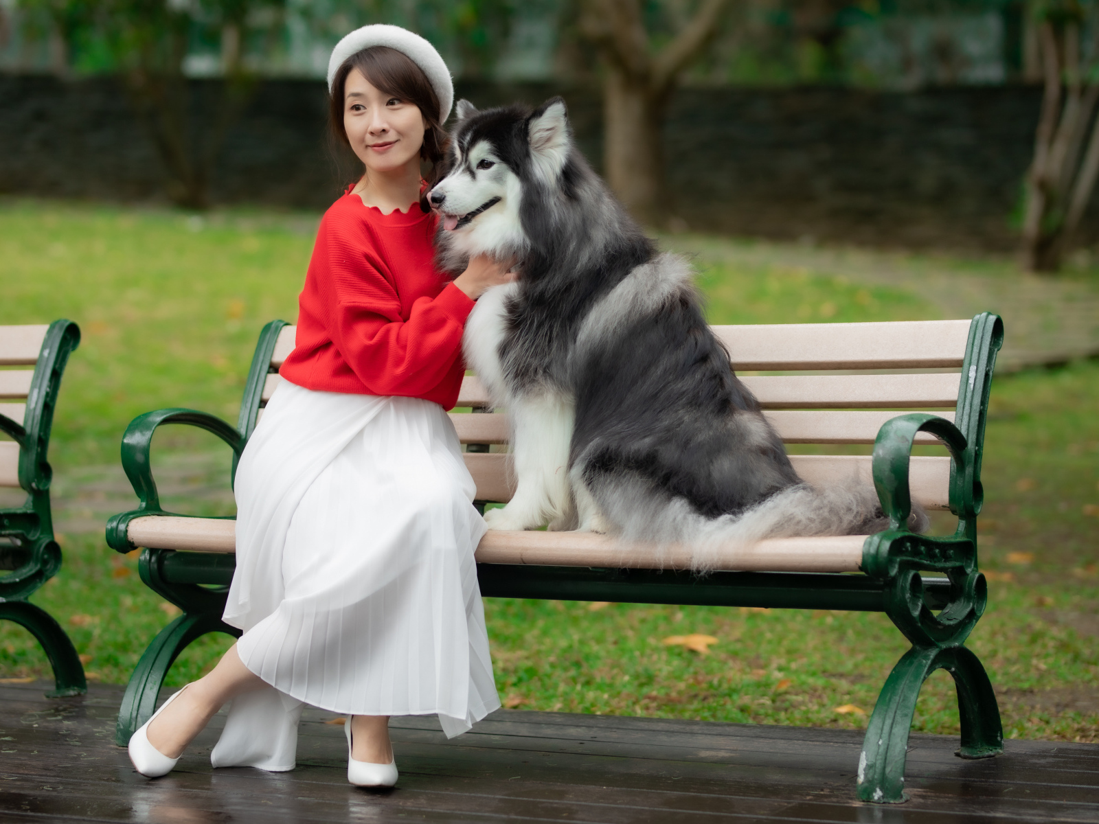 Красивая девушка азиатка сидит с собакой на лавке