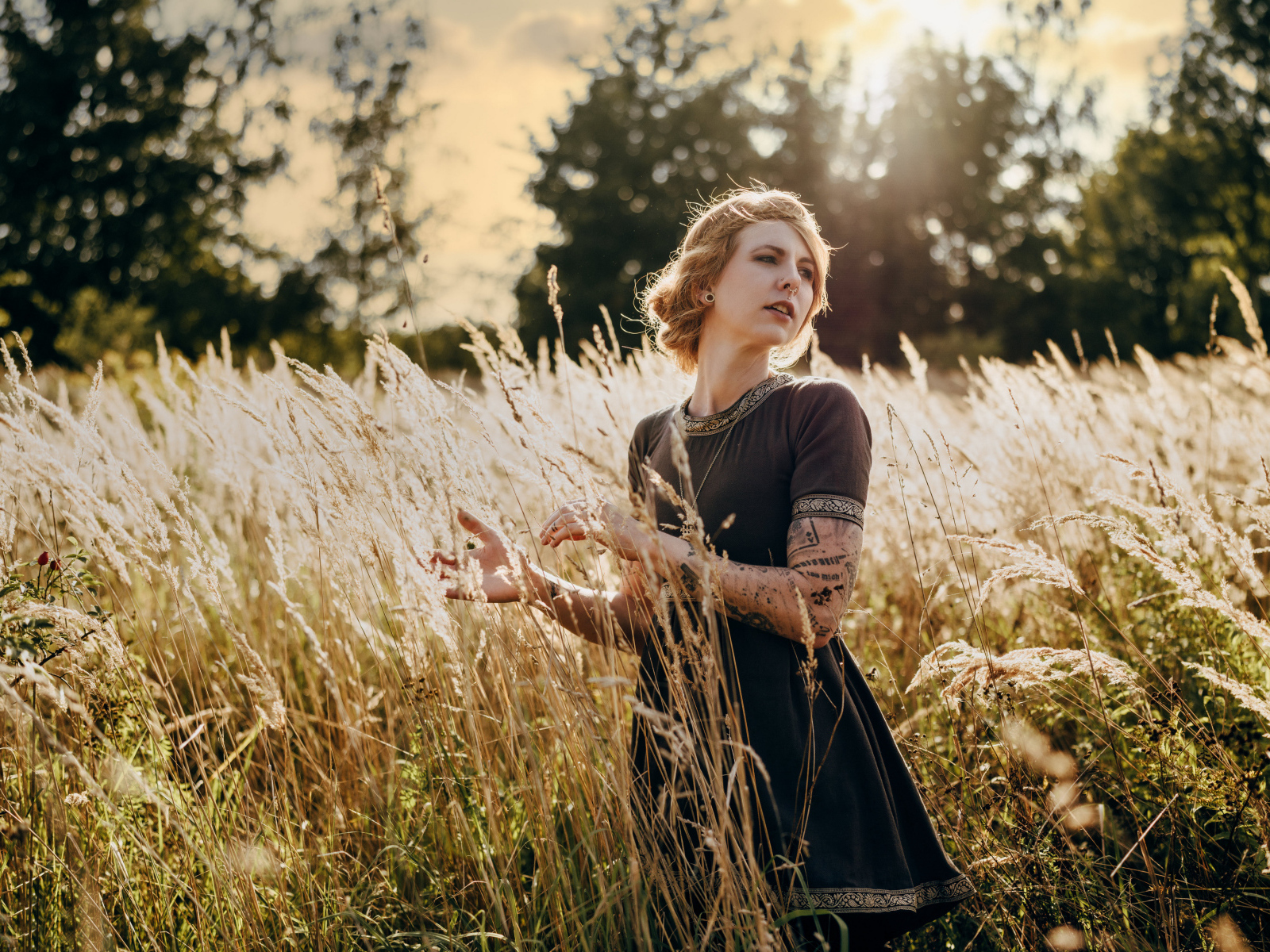 Красивая девушка в черном платье на поле с колосьями