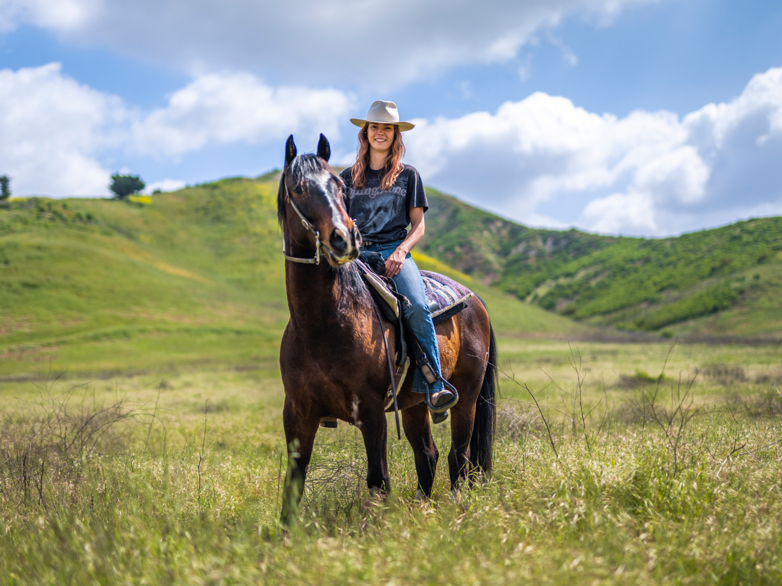 Красивая девушка сидит на большой лошади