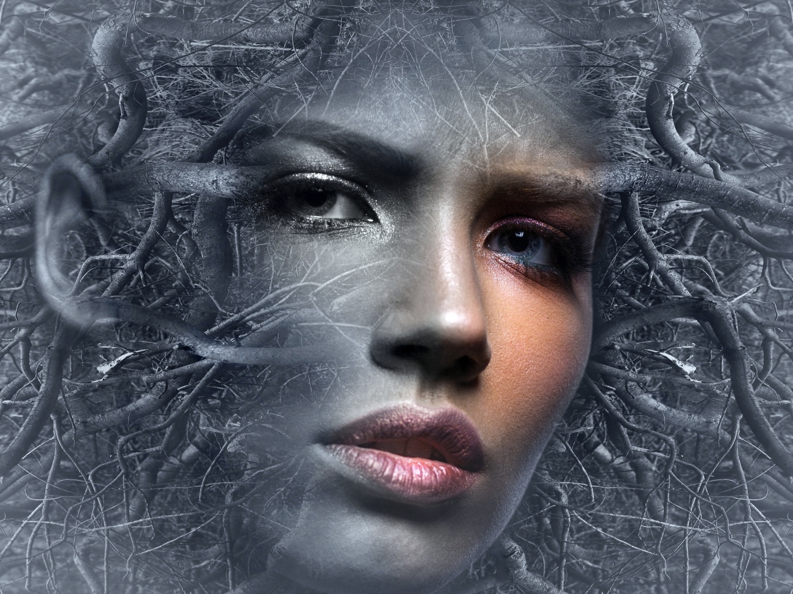 Лицо девушки в ветках дерева