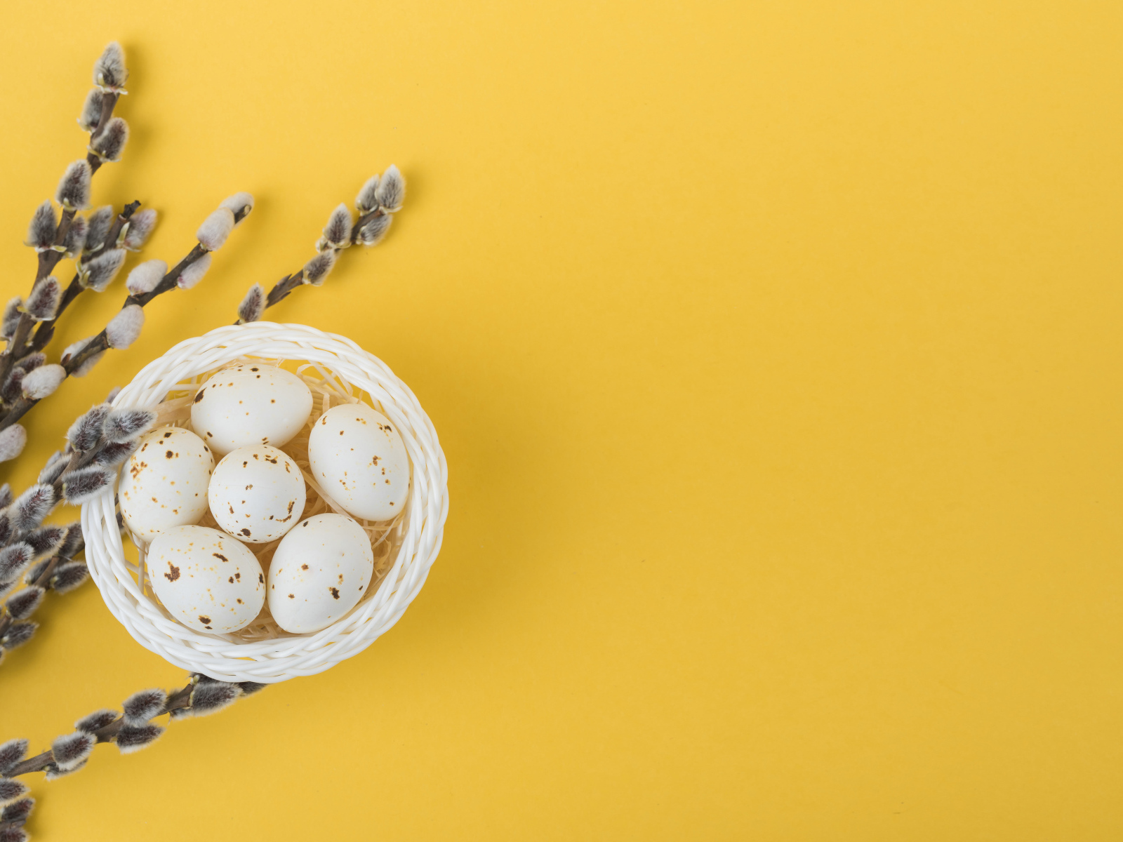 Ветки вербы и яйца на желтом фоне шаблон поздравительной открытки на Пасху