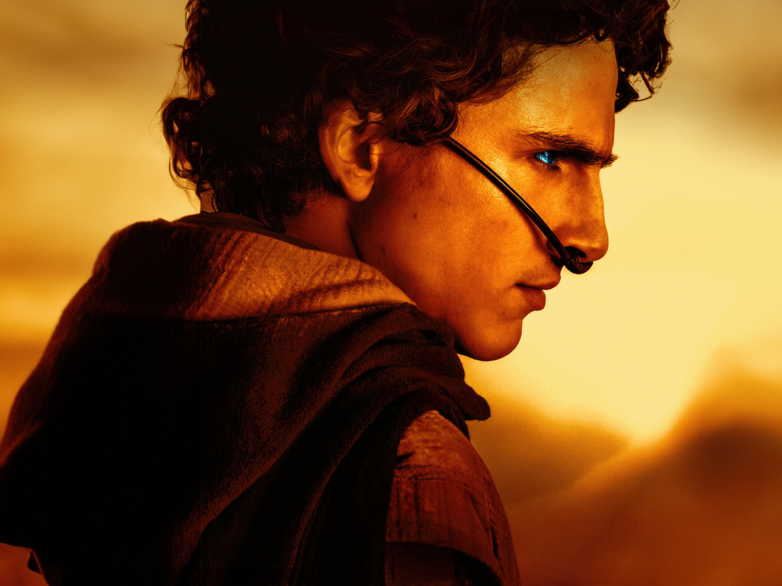 Персонаж Пол Атрейдес новый фильм Дюна: Часть вторая