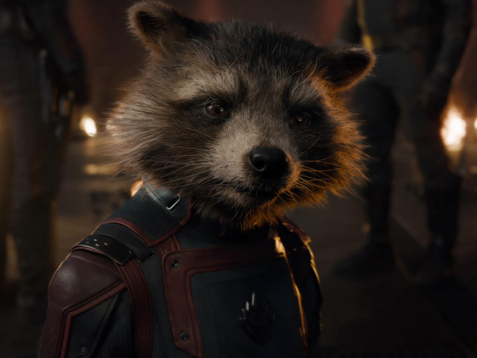 Енот Ракета персонаж фильма Стражи Галактики: Часть 3
