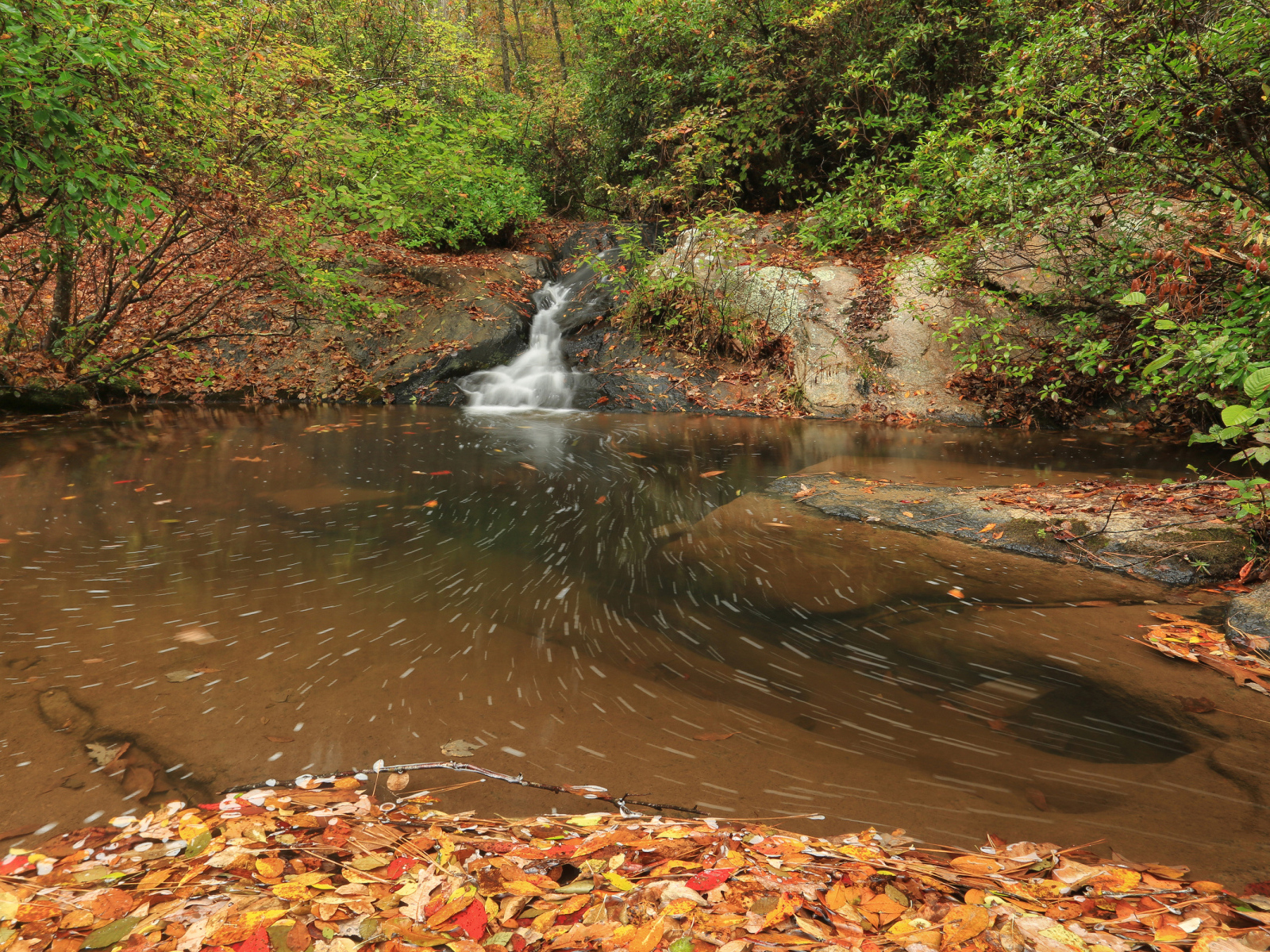 Красивый холодный осенний лес с водопадом