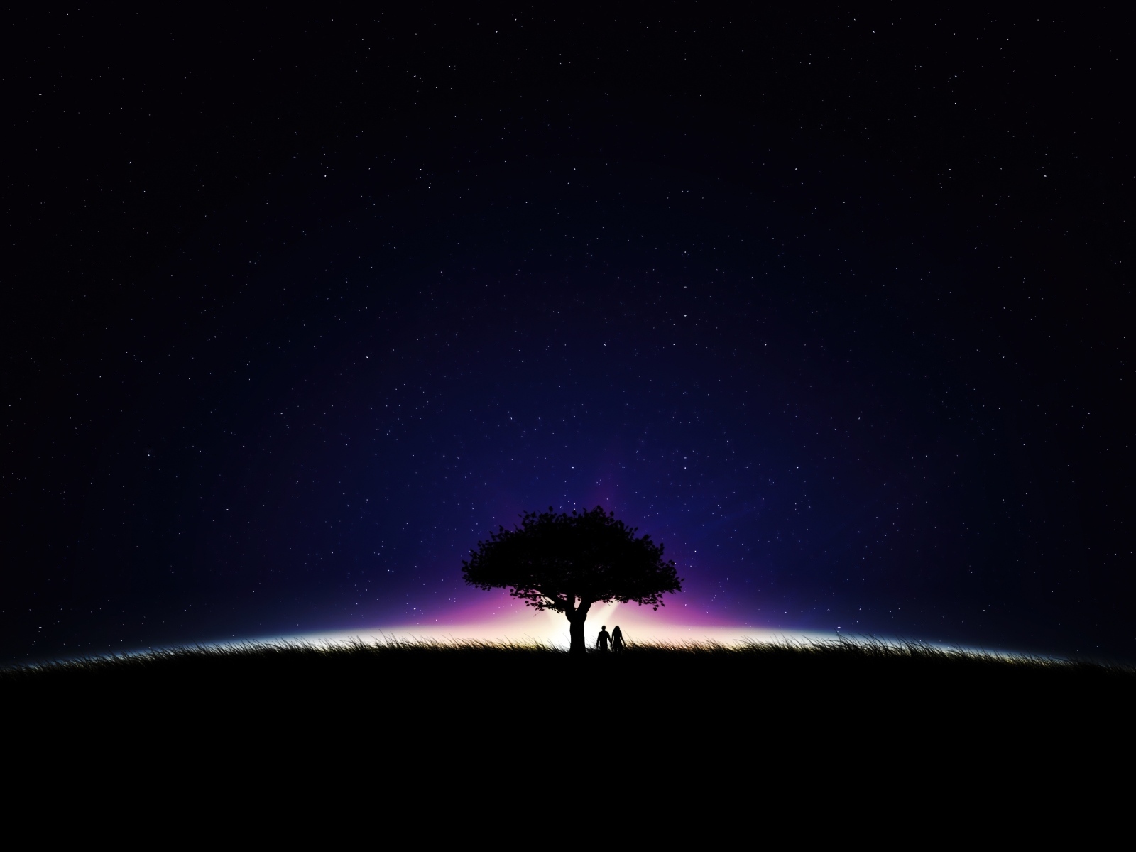 Большое дерево на фоне неба ночью