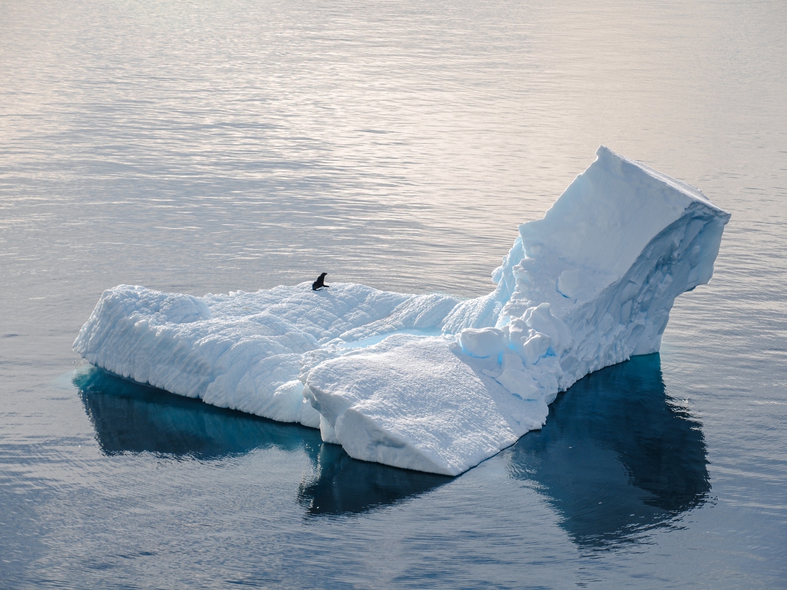 Большой холодный айсберг водах Антарктики