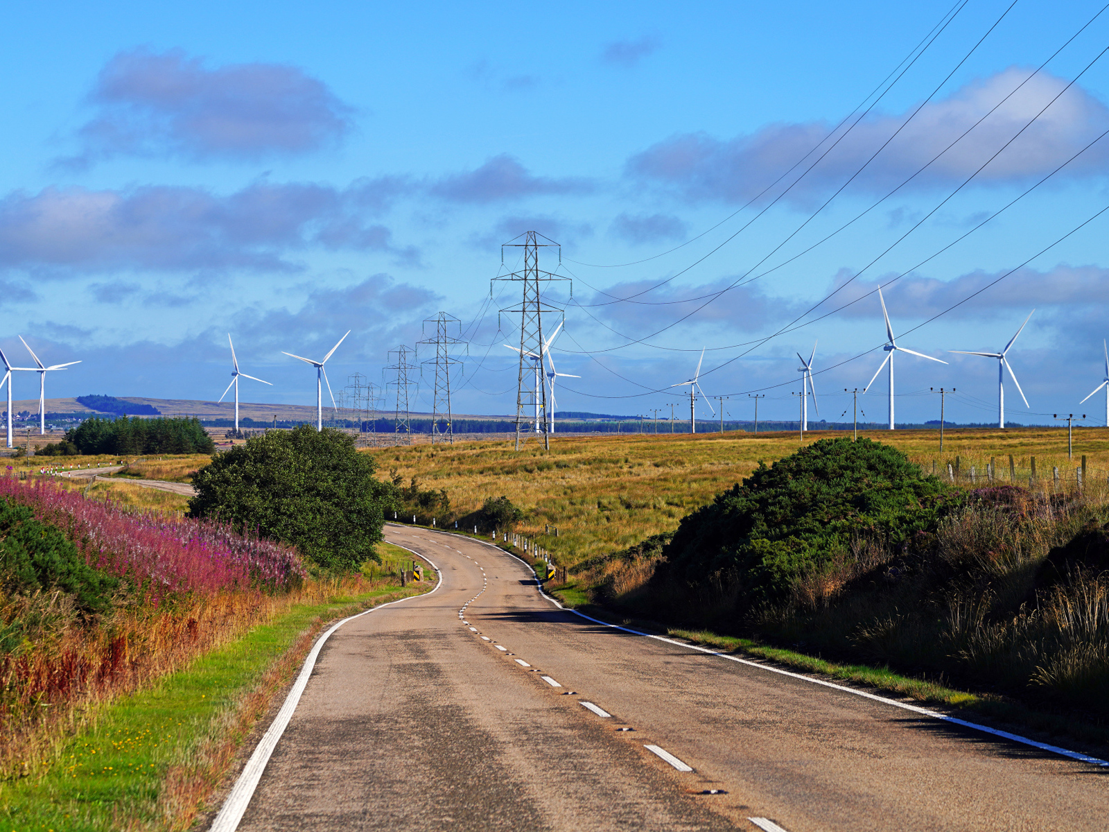 Ветрогенераторы в поле у дороги под голубым небом