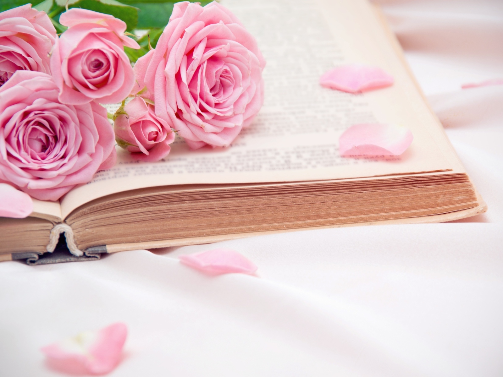 Букет розовых роз лежит на книге