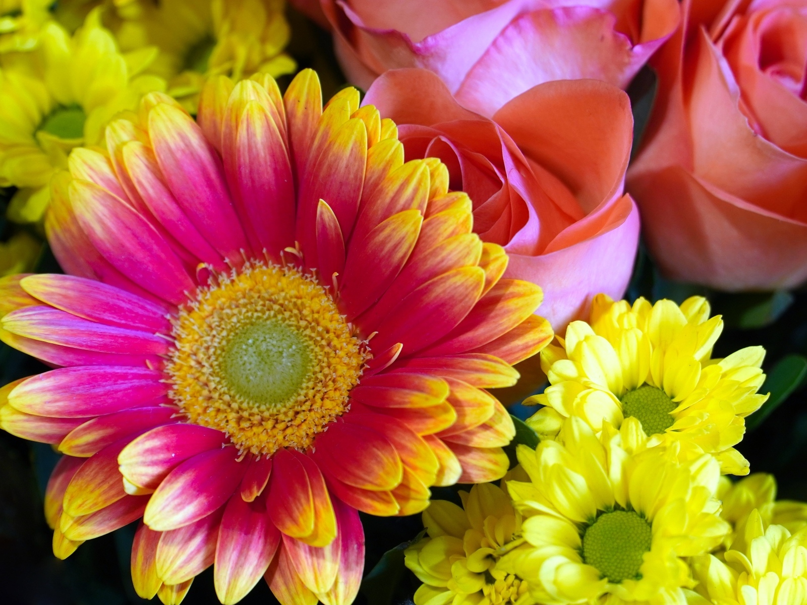 Красивый букет из цветов хризантемы и розы