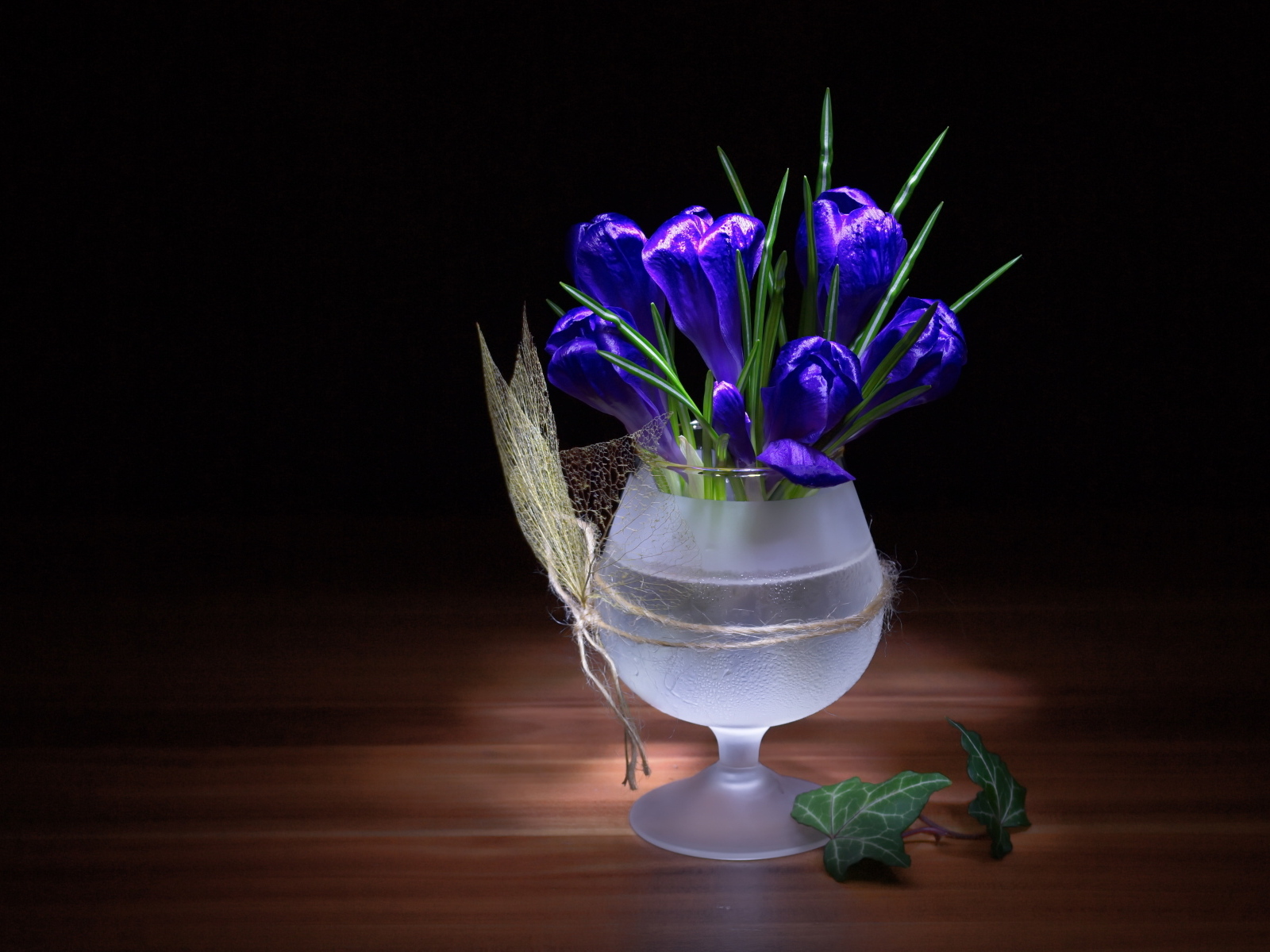 Синие крокусы в бокале на столе
