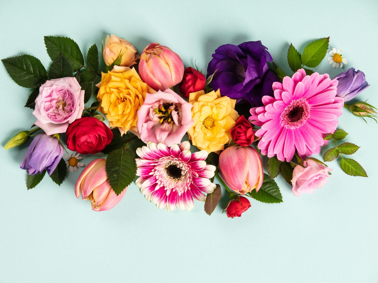 Композиция из разных цветов на сером фоне