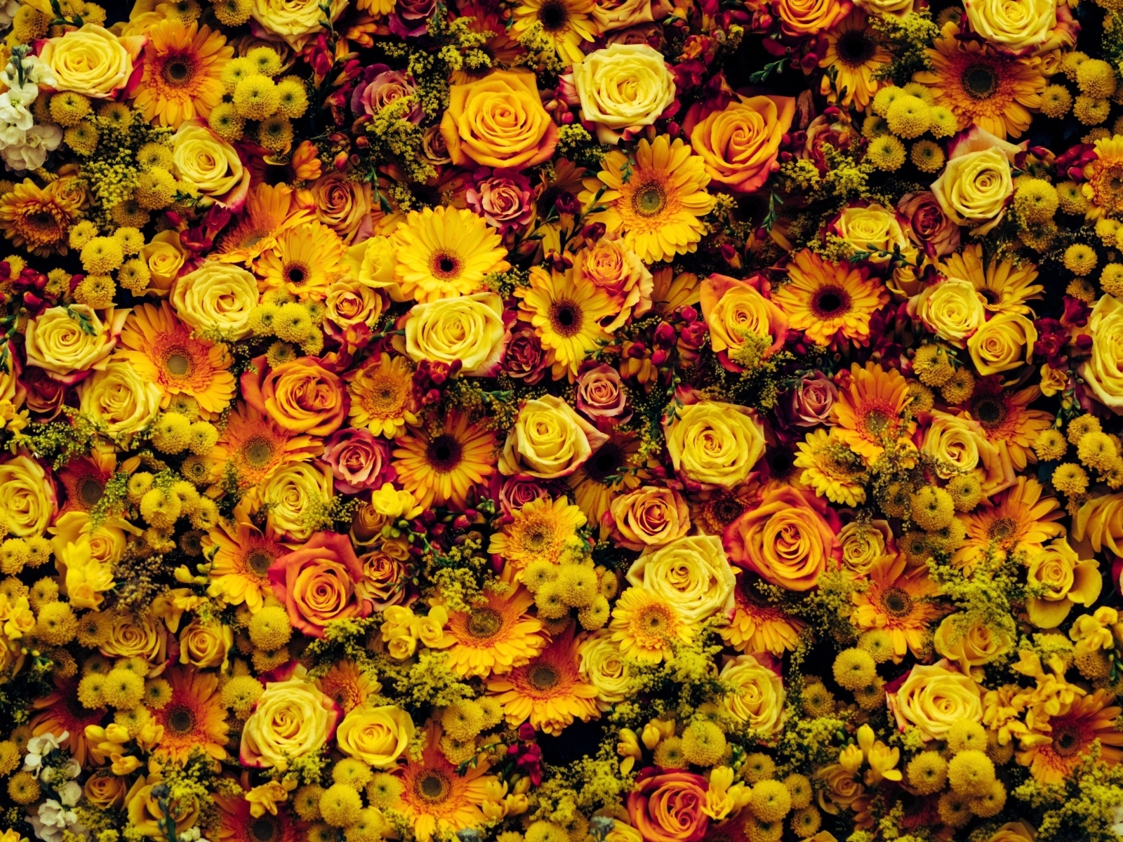 Много разных оранжевых цветов для фона