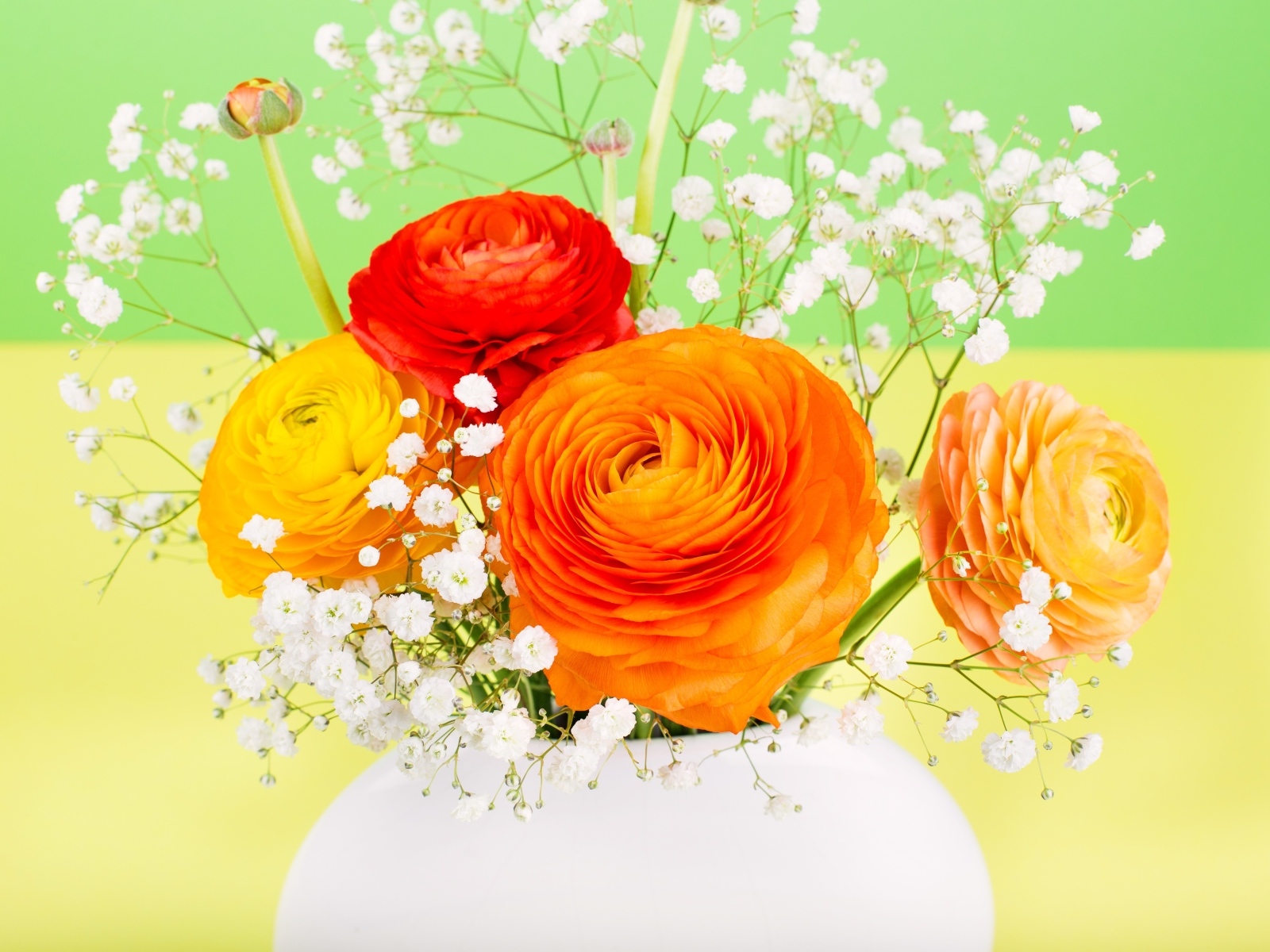 Оранжевые лютики с белыми цветами гипсофилы