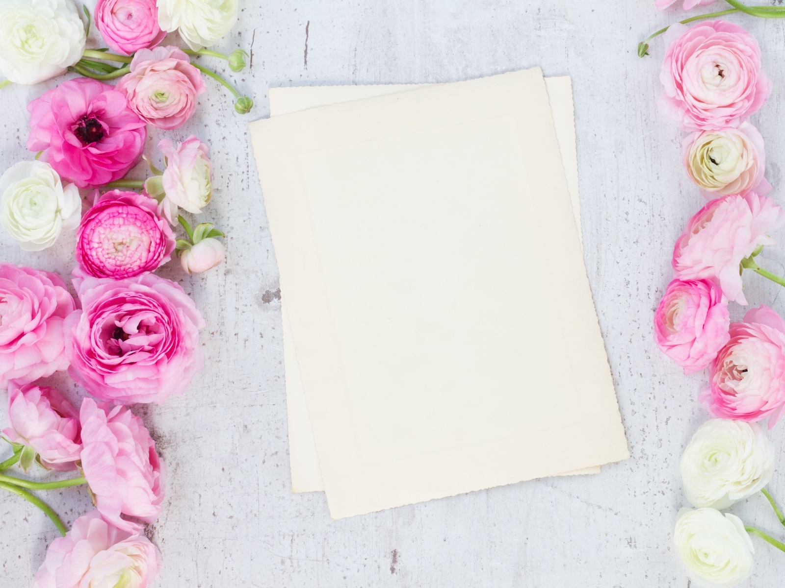 Розовые лютики с белыми листами на сером столе