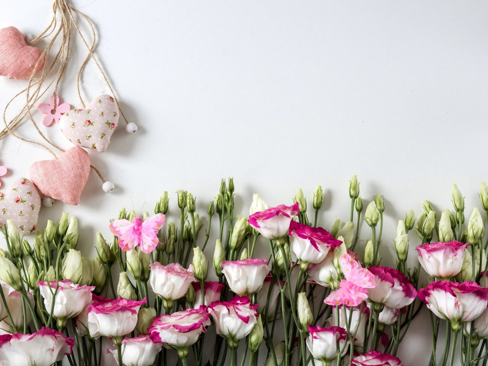 Розовые цветы эустомы с сердечками на сером фоне