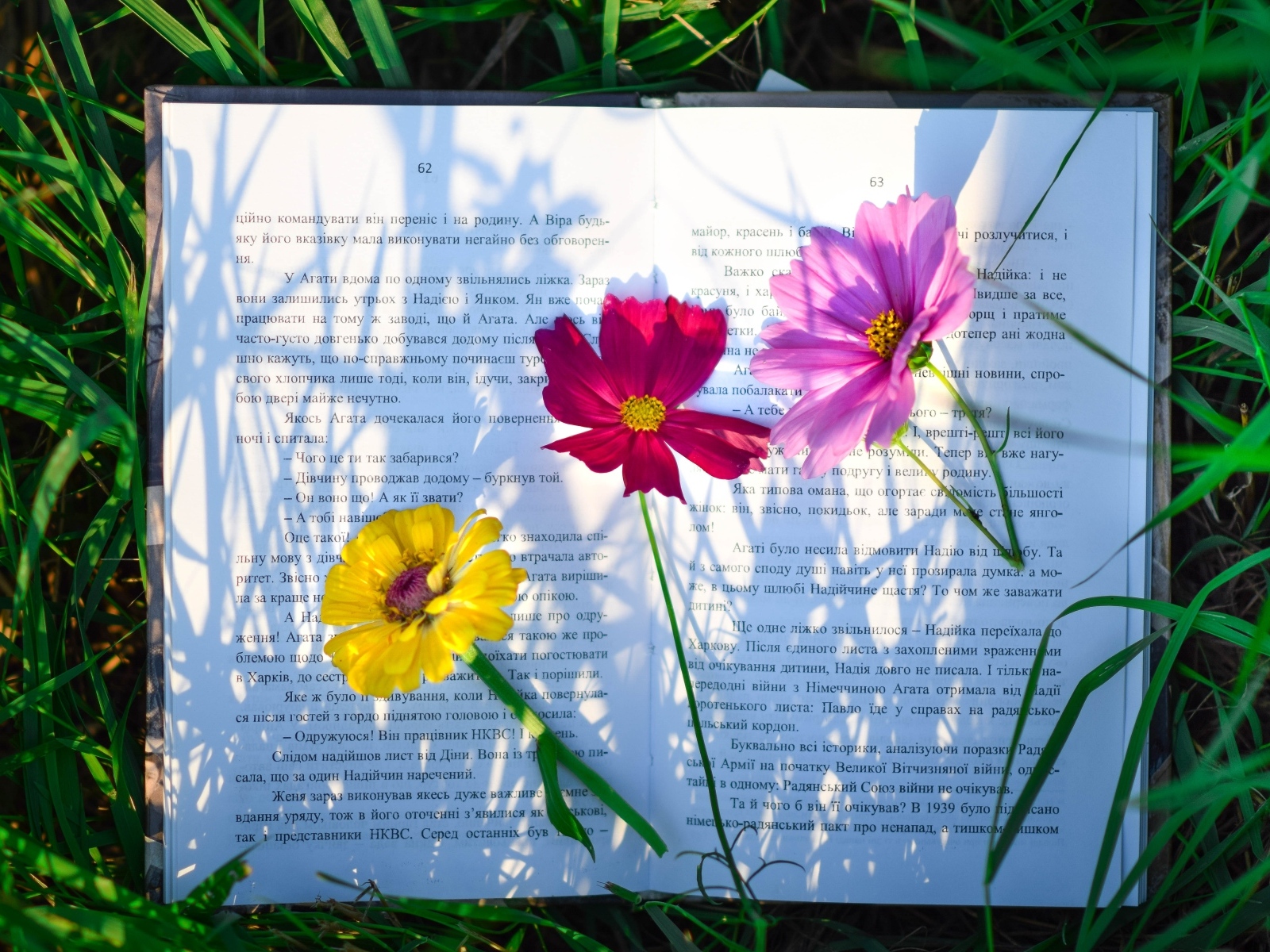 Три цветка лежат на книге в траве