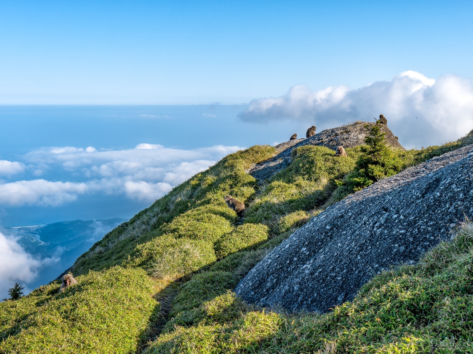 Высокие покрытые зеленью горы выше облаков