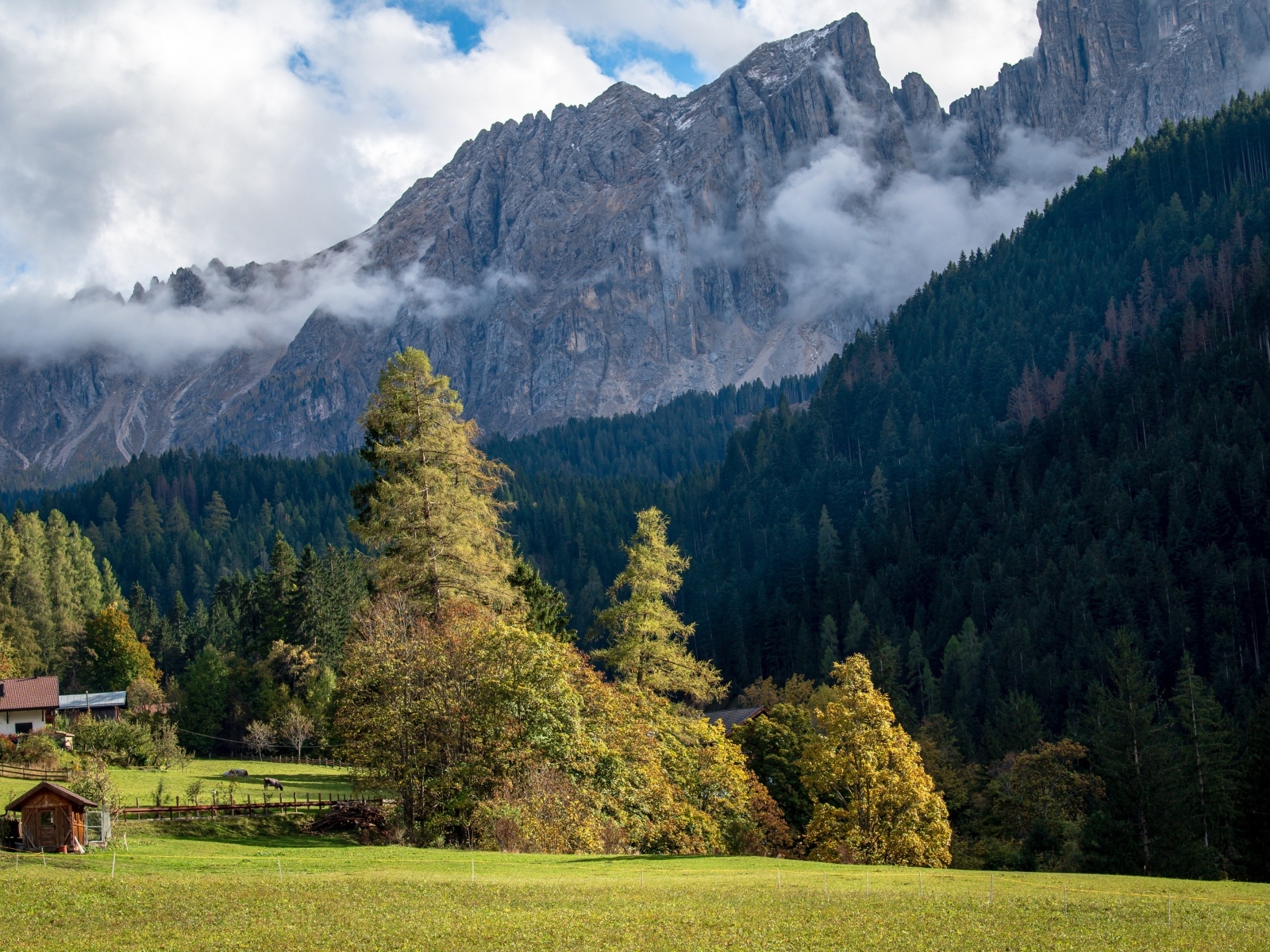 Белый туман над высокими каменными горами