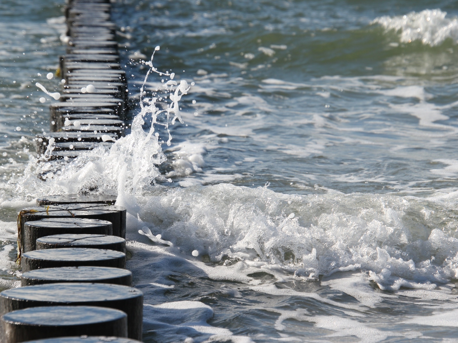 Красивая морская пена у берега крупным планом