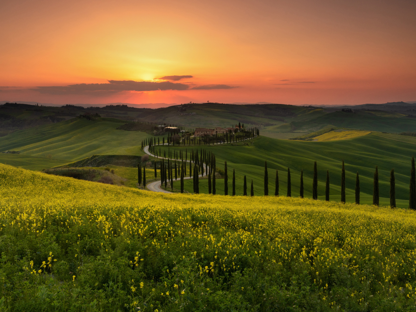 Красивый вид на зеленые холмы на закате