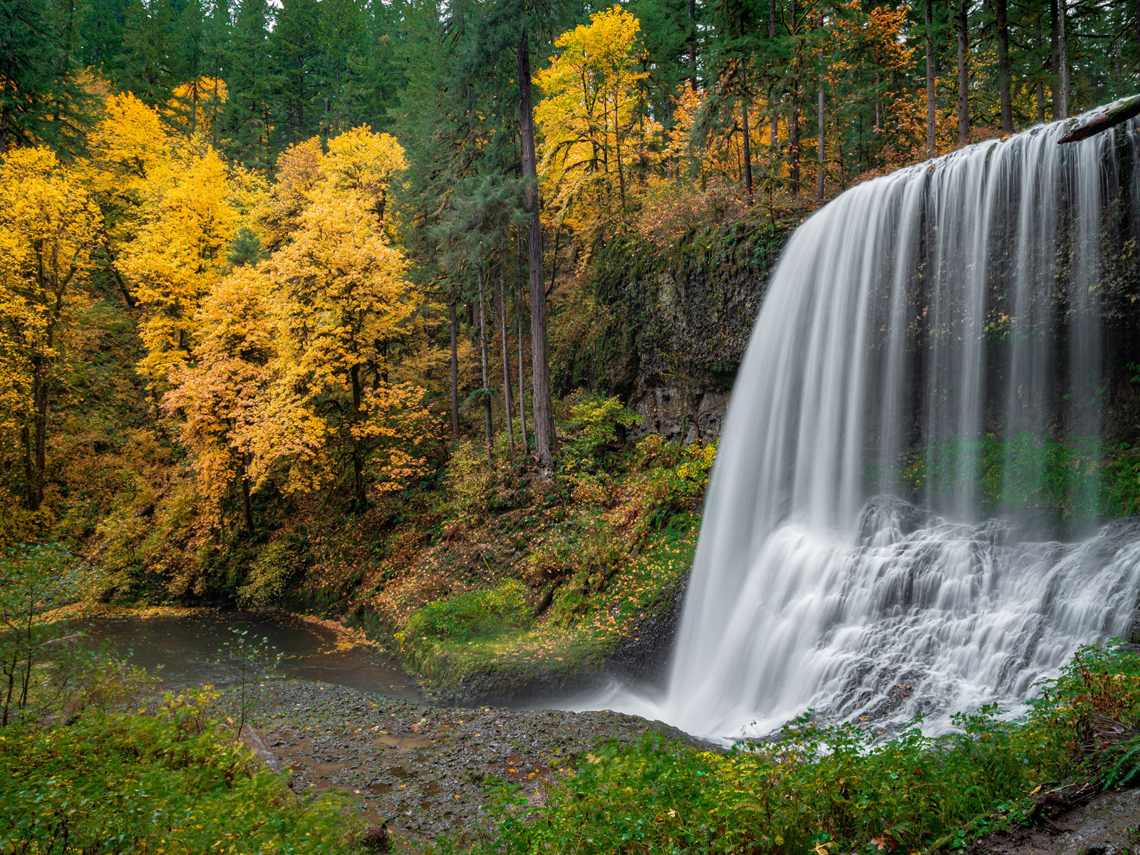 Быстрый холодный водопад в осеннем лесу