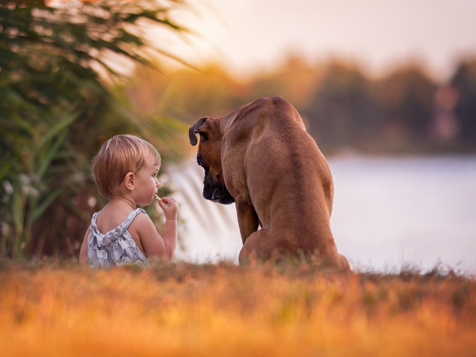 Девочка с собакой на берегу реки