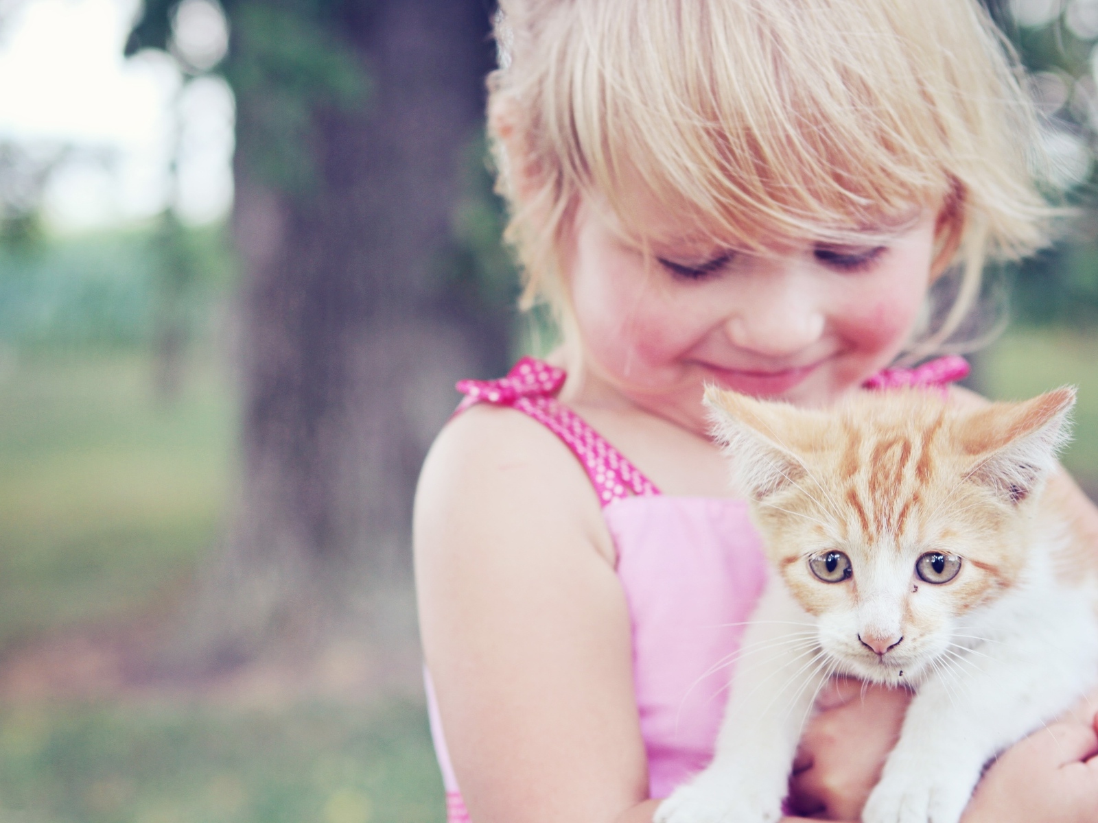 Маленькая девочка держит котенка в руках
