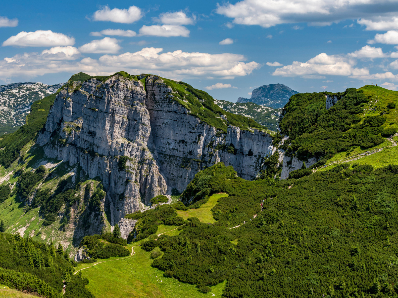 Вид на покрытые зеленью Австрийские Альпы