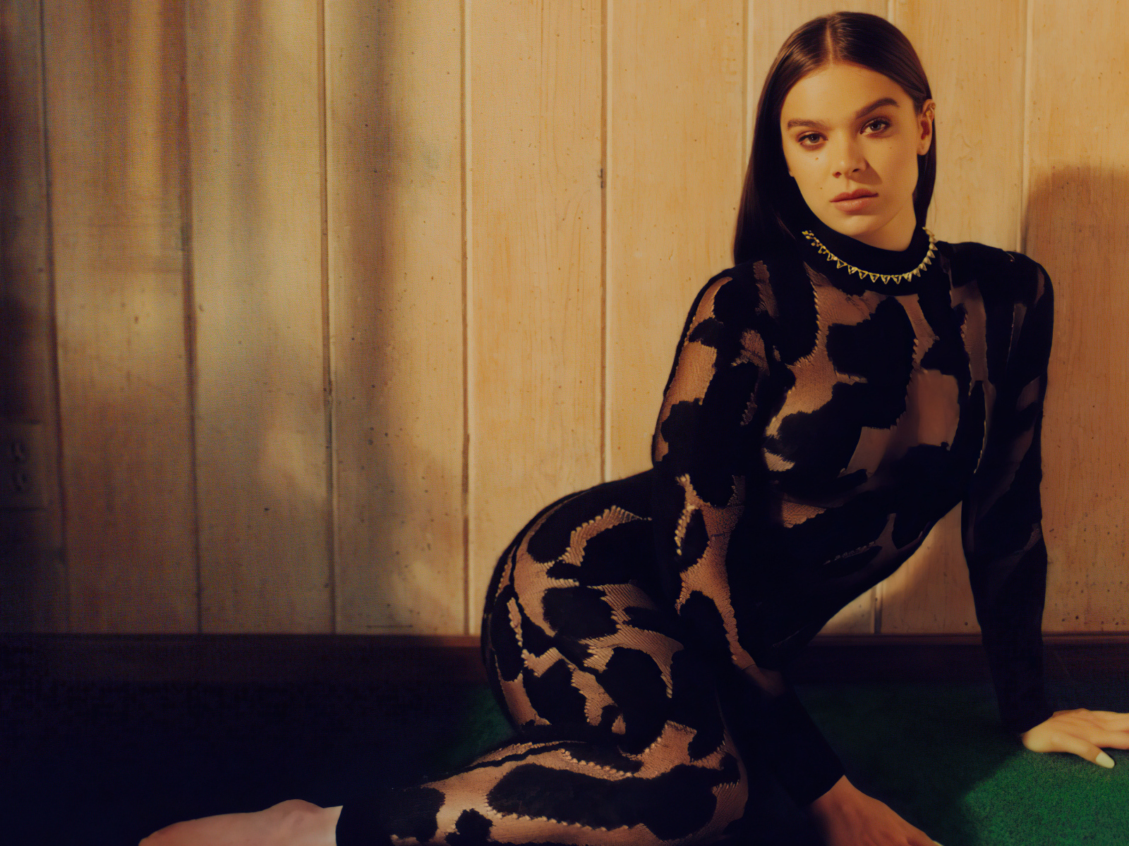 Актриса Хейли Стейнфилд в черном платье у стены