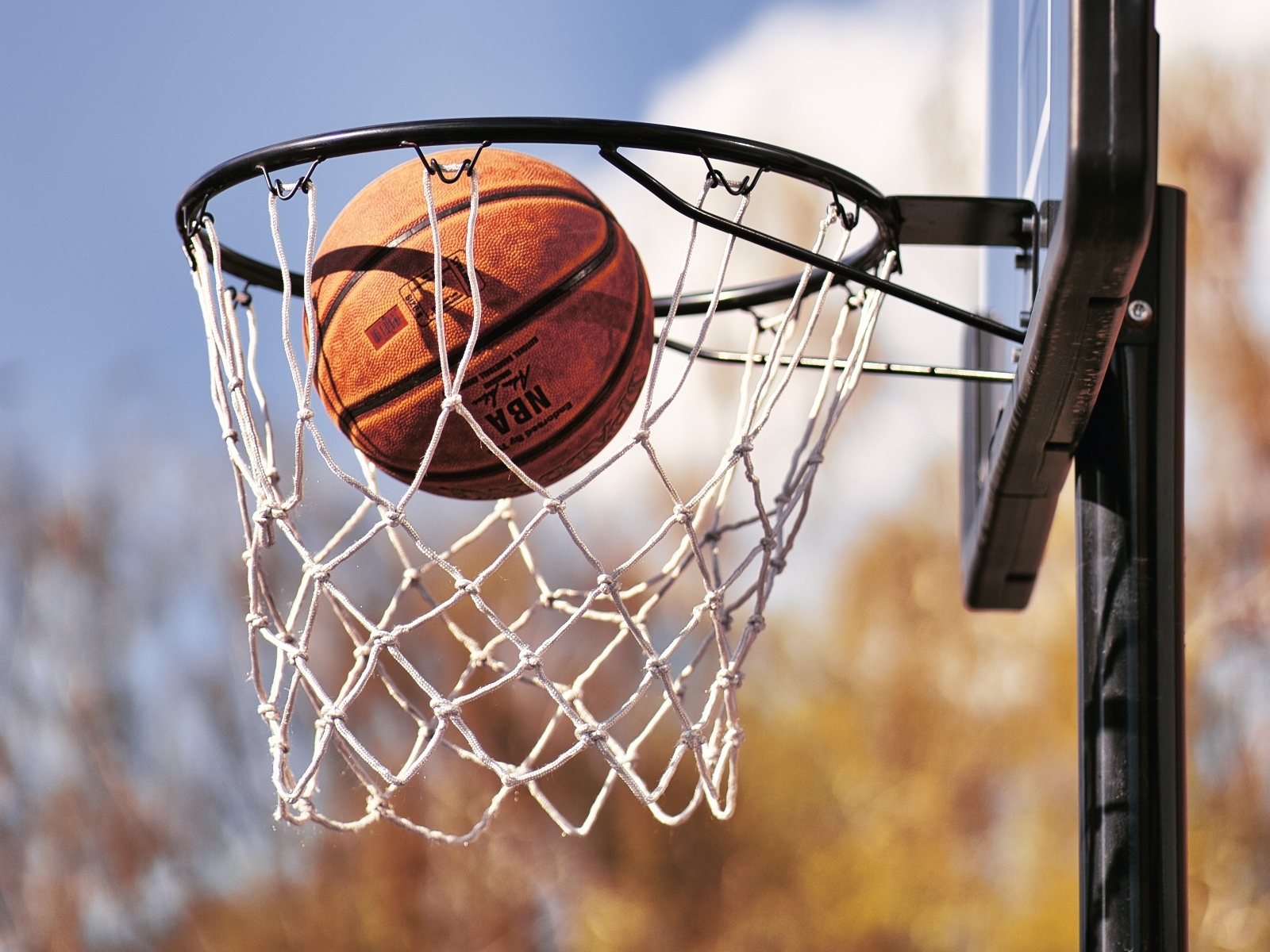 Баскетбольный мяч попал в кольцо