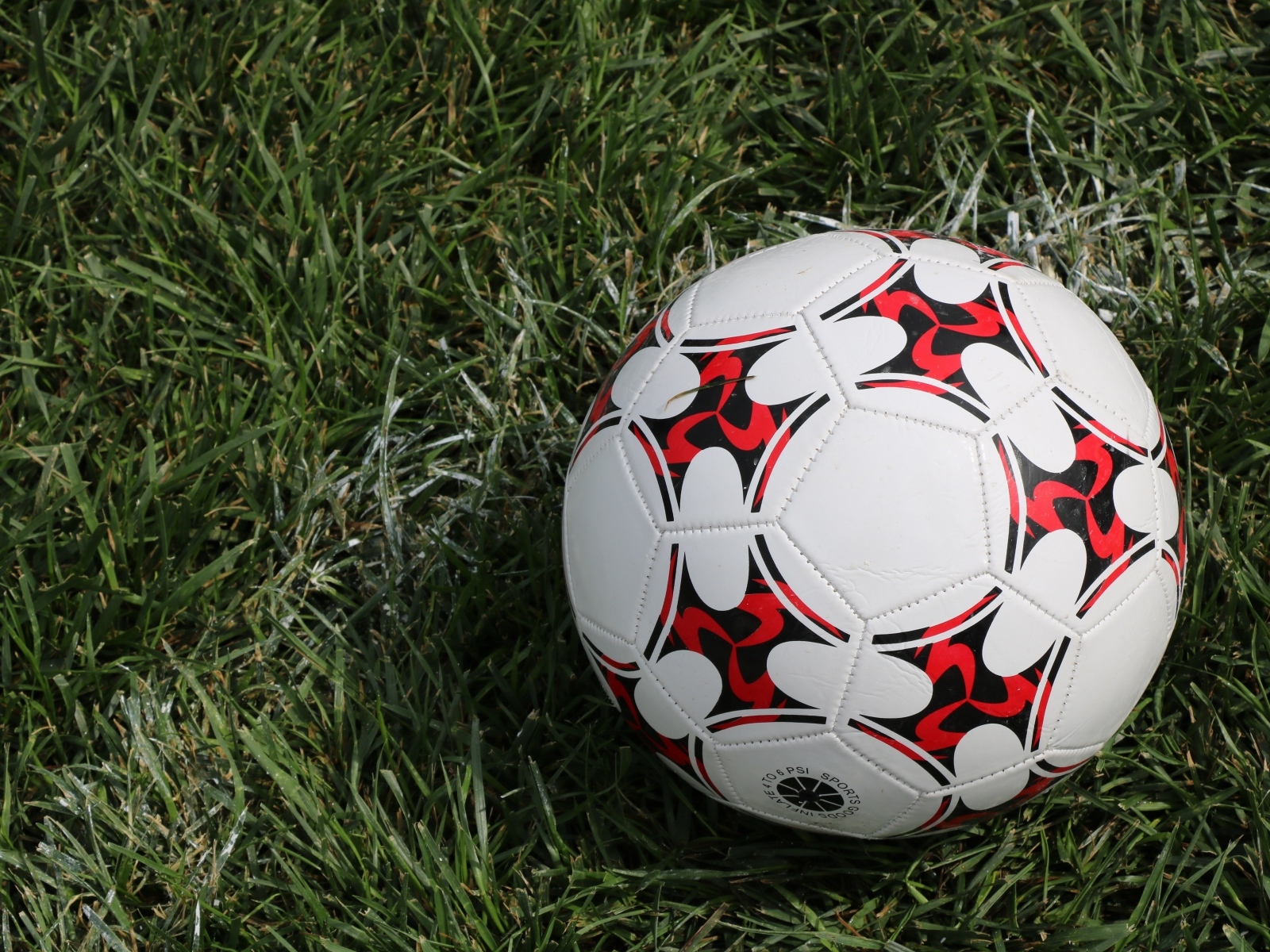 Кожаный футбольный мяч на зеленой траве