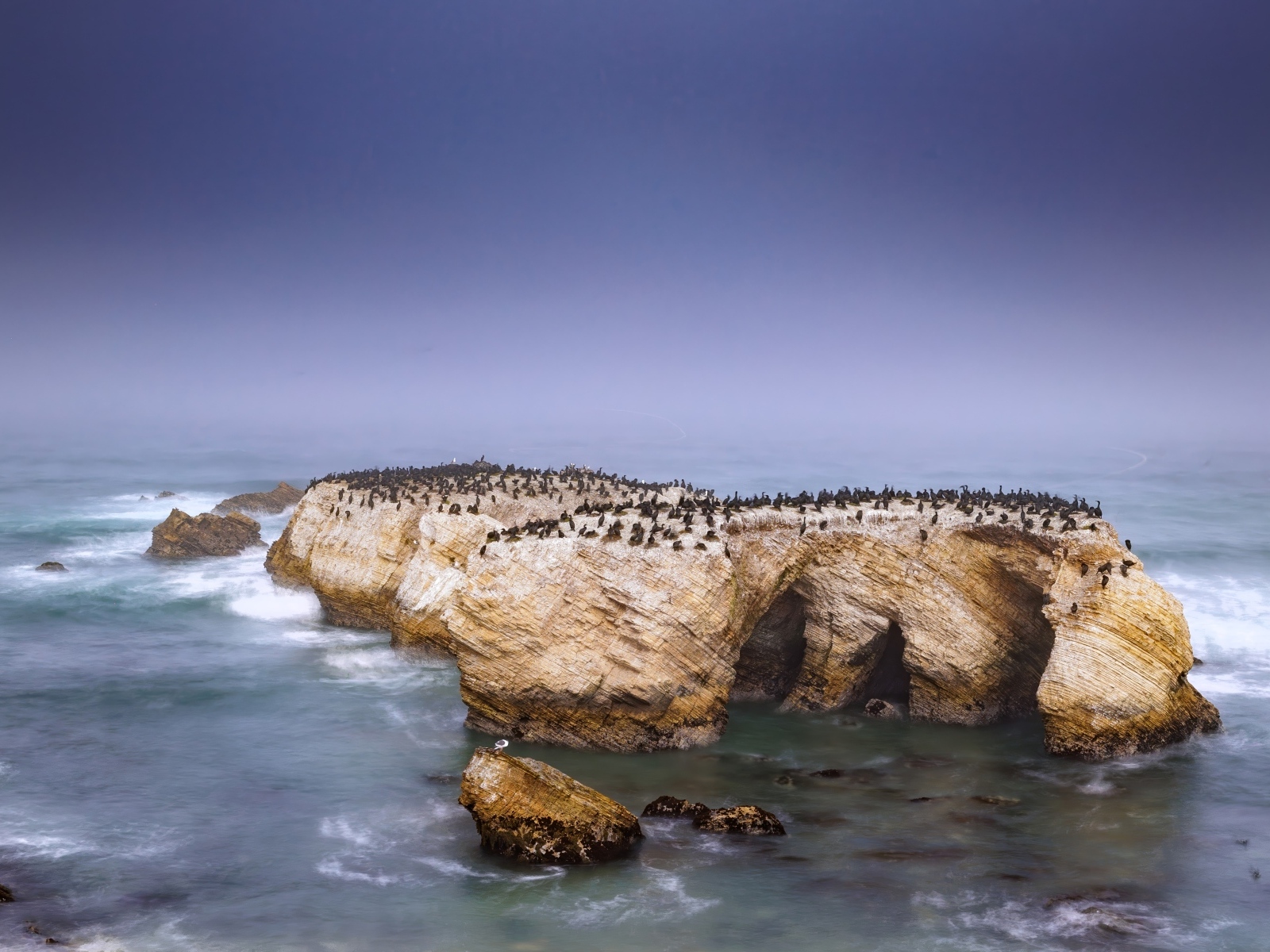 Пингвины на скале с бушующем море
