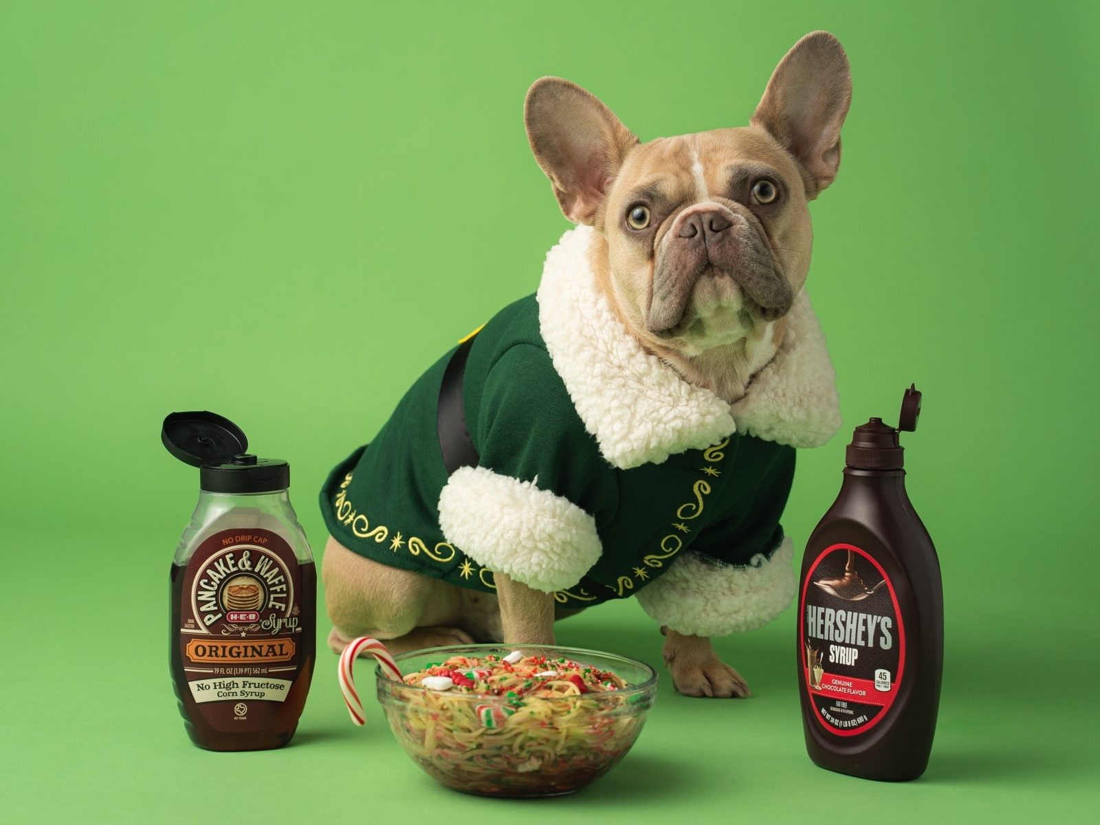 Пес французский бульдог с едой на зеленом фоне