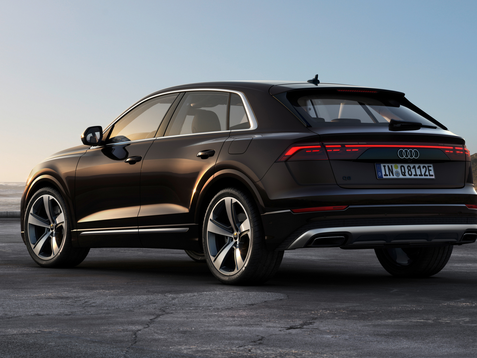 Вид сзади на черный автомобиль Audi Q8 55 TFSI E Quattro 2024 года