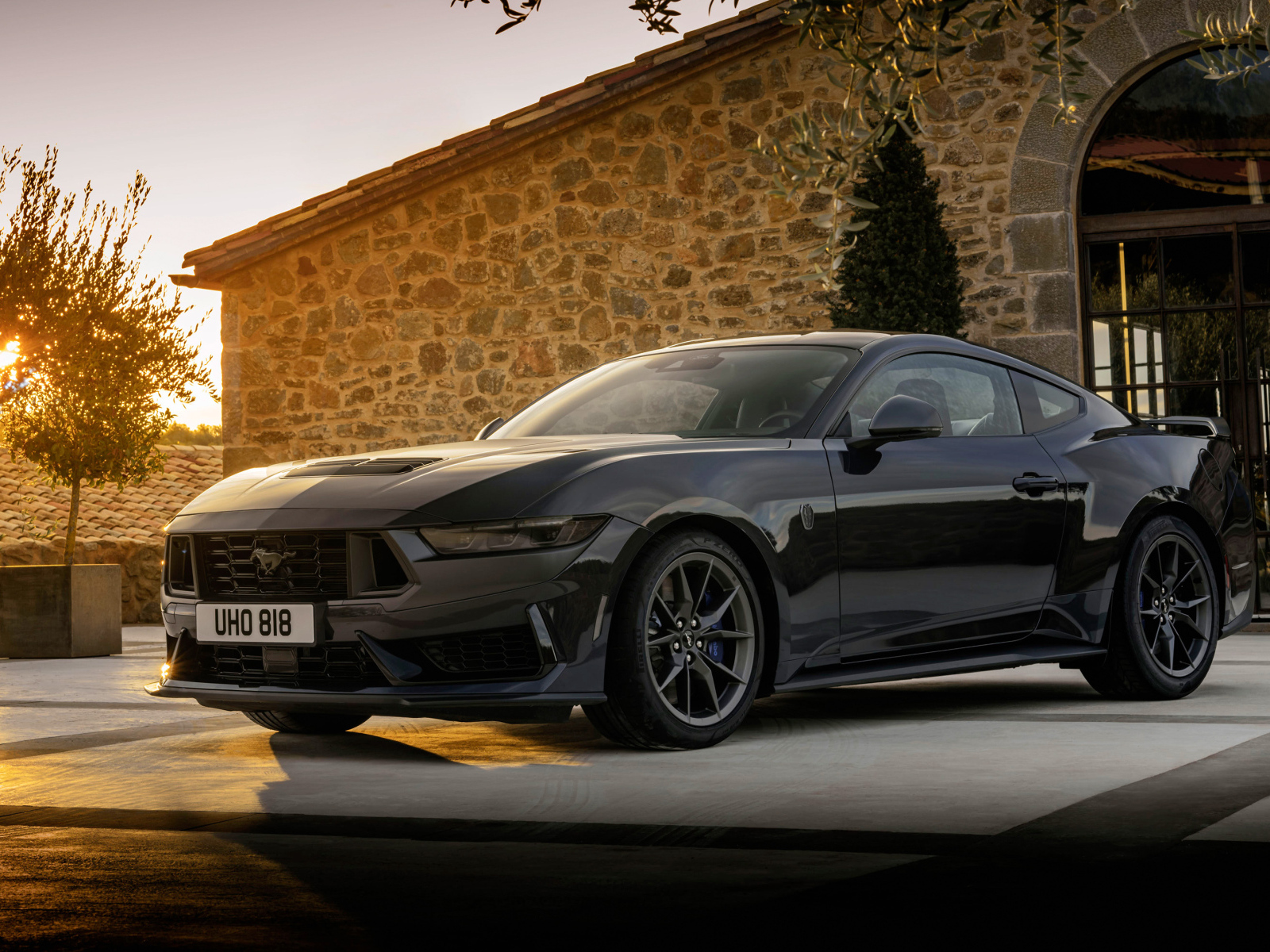 Автомобиль Ford Mustang Dark Horse 2024 года