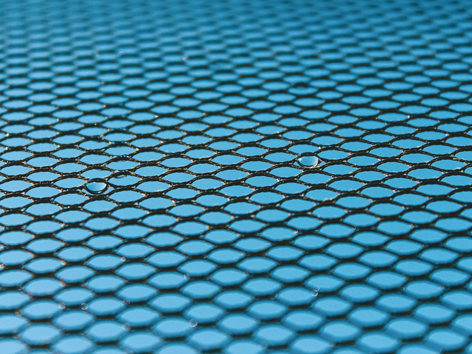 Черная сетка на голубом для фона