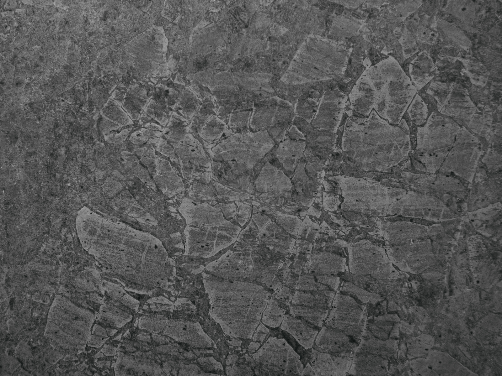 Старая серая стена для фона