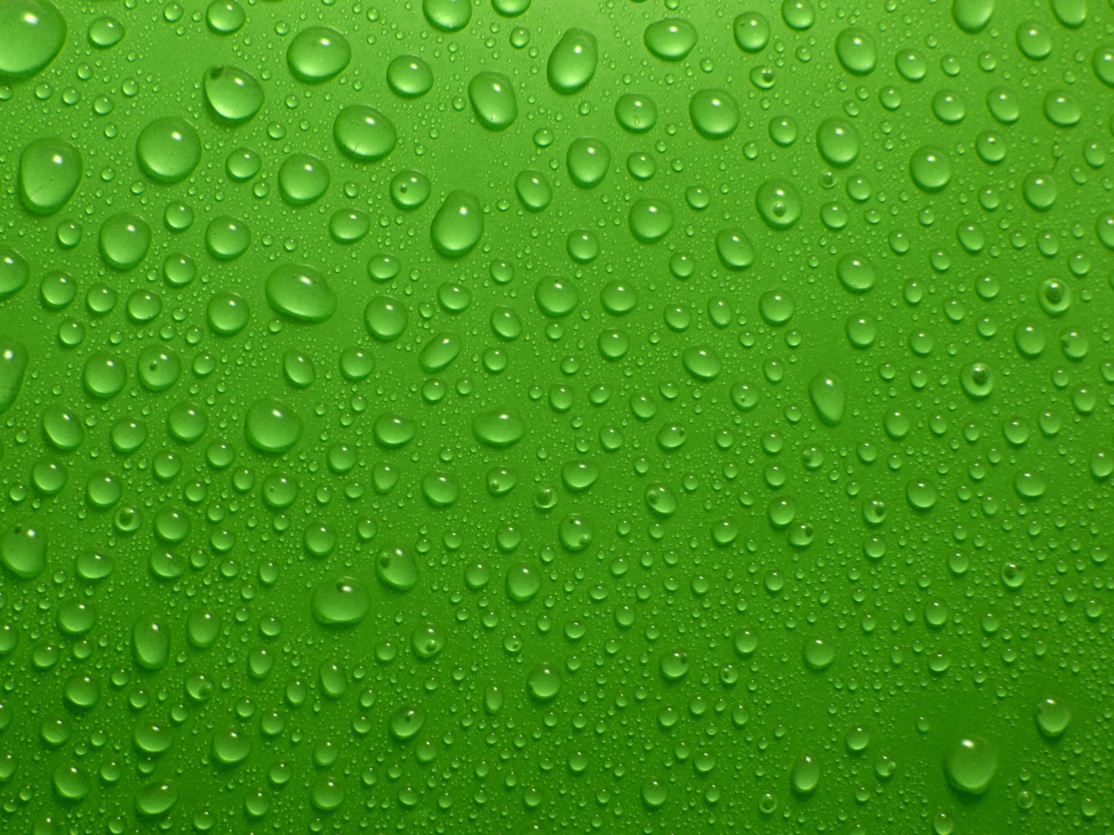 Капли воды на зеленом фоне