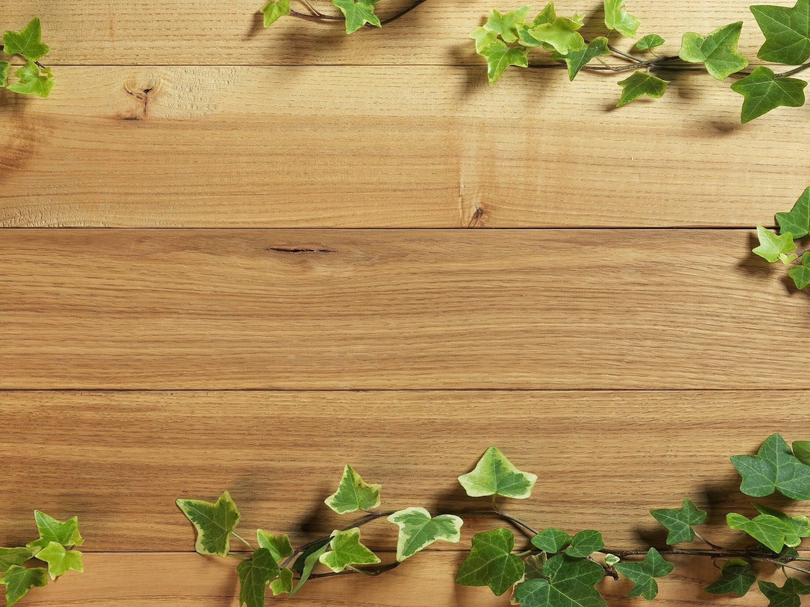 Деревянный фон с листьями плюща