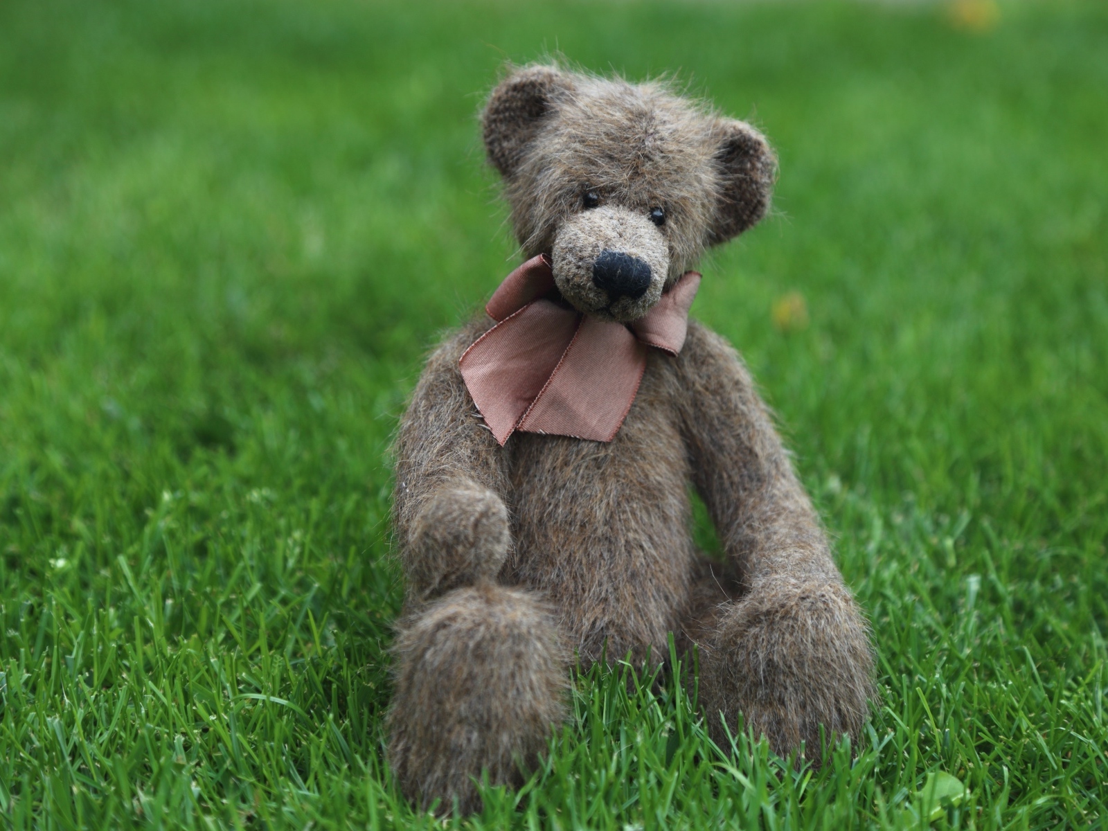 Игрушечный медведь с бантом сидит на зеленой траве