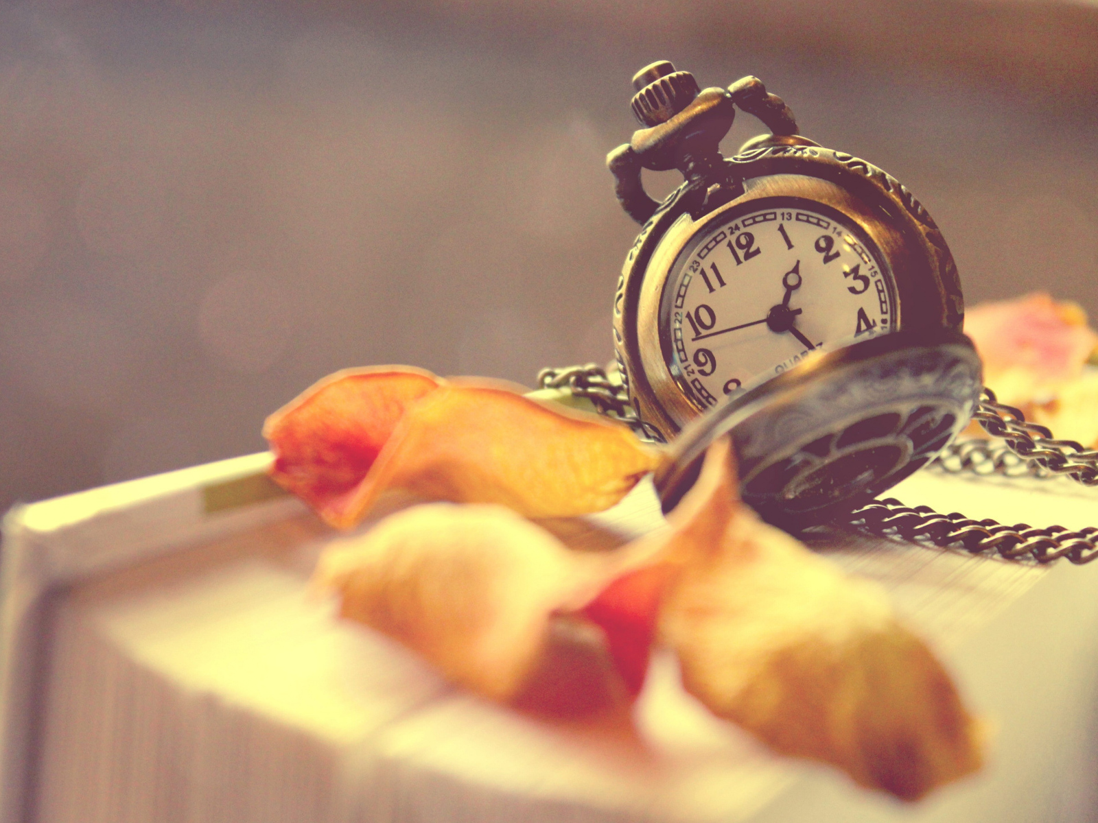 Старые карманные часы с сухими листьями лежат на книге