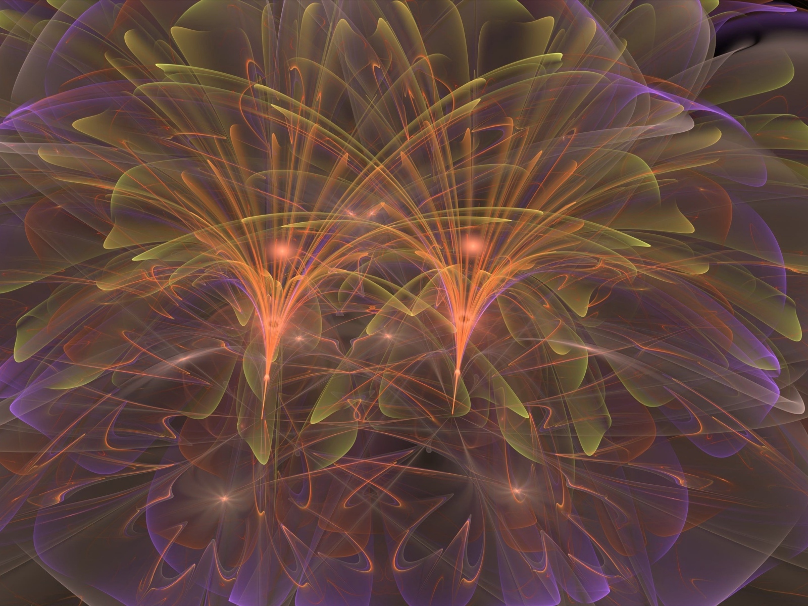 Светящиеся фигуры абстрактных цветов