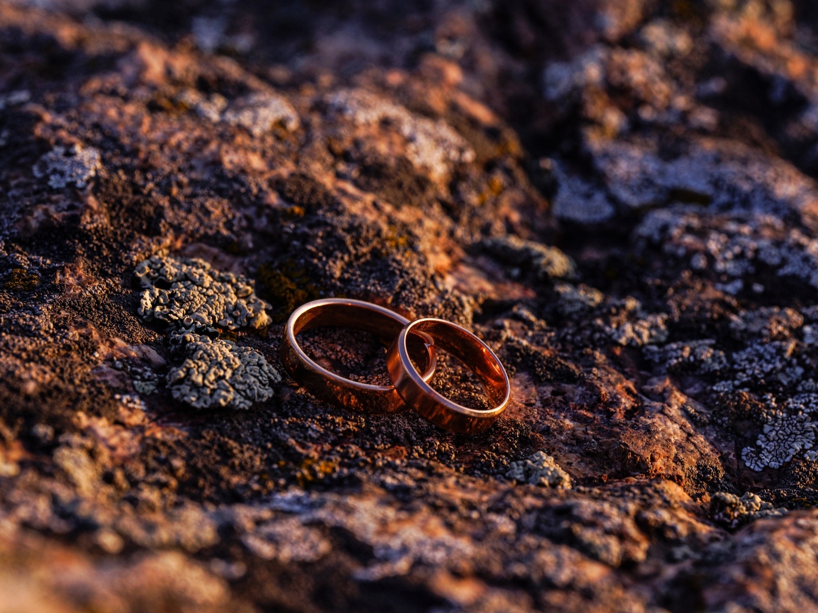 Два обручальных кольца на земле