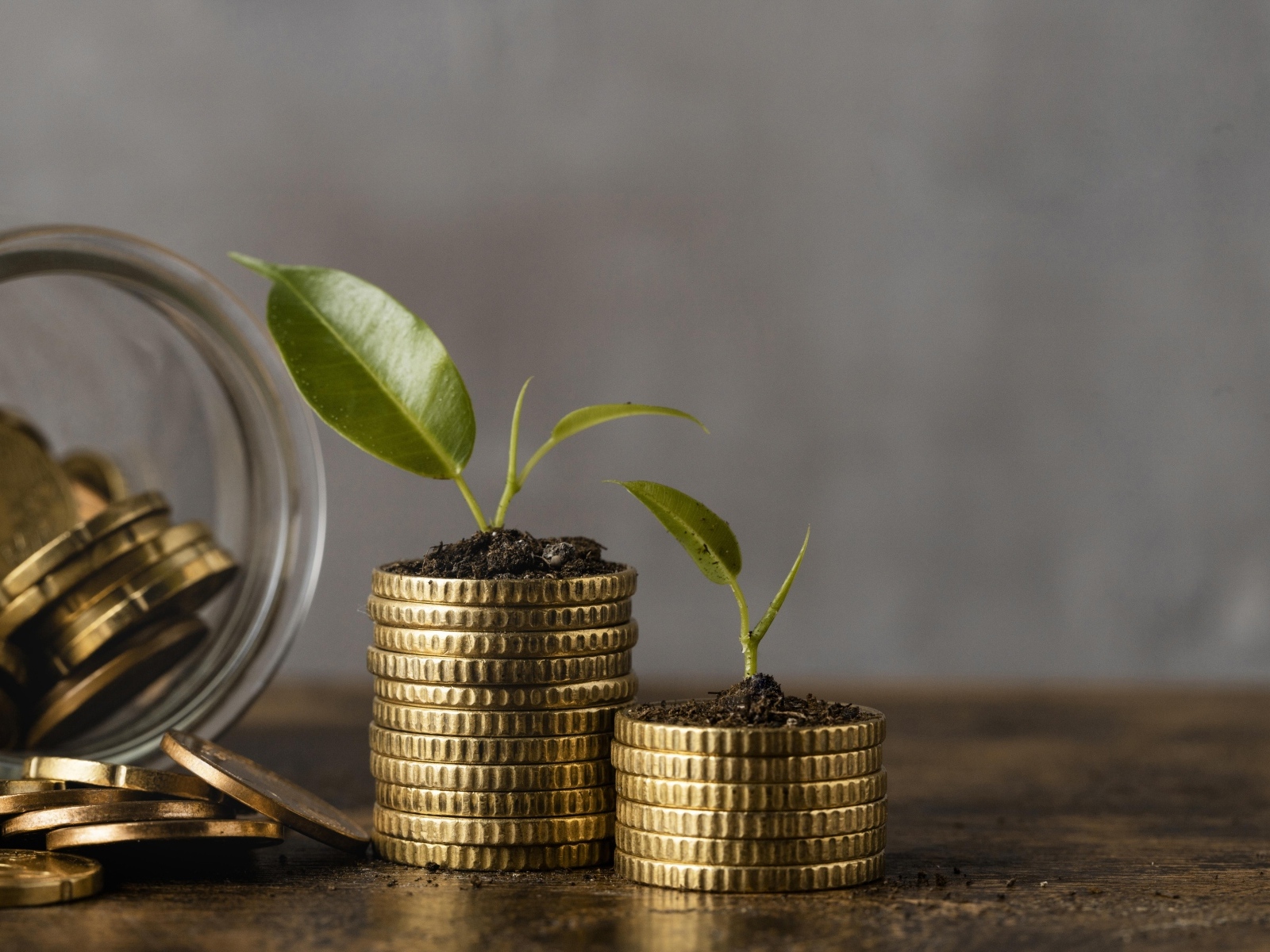 Зеленые ростки с золотыми монетами на столе